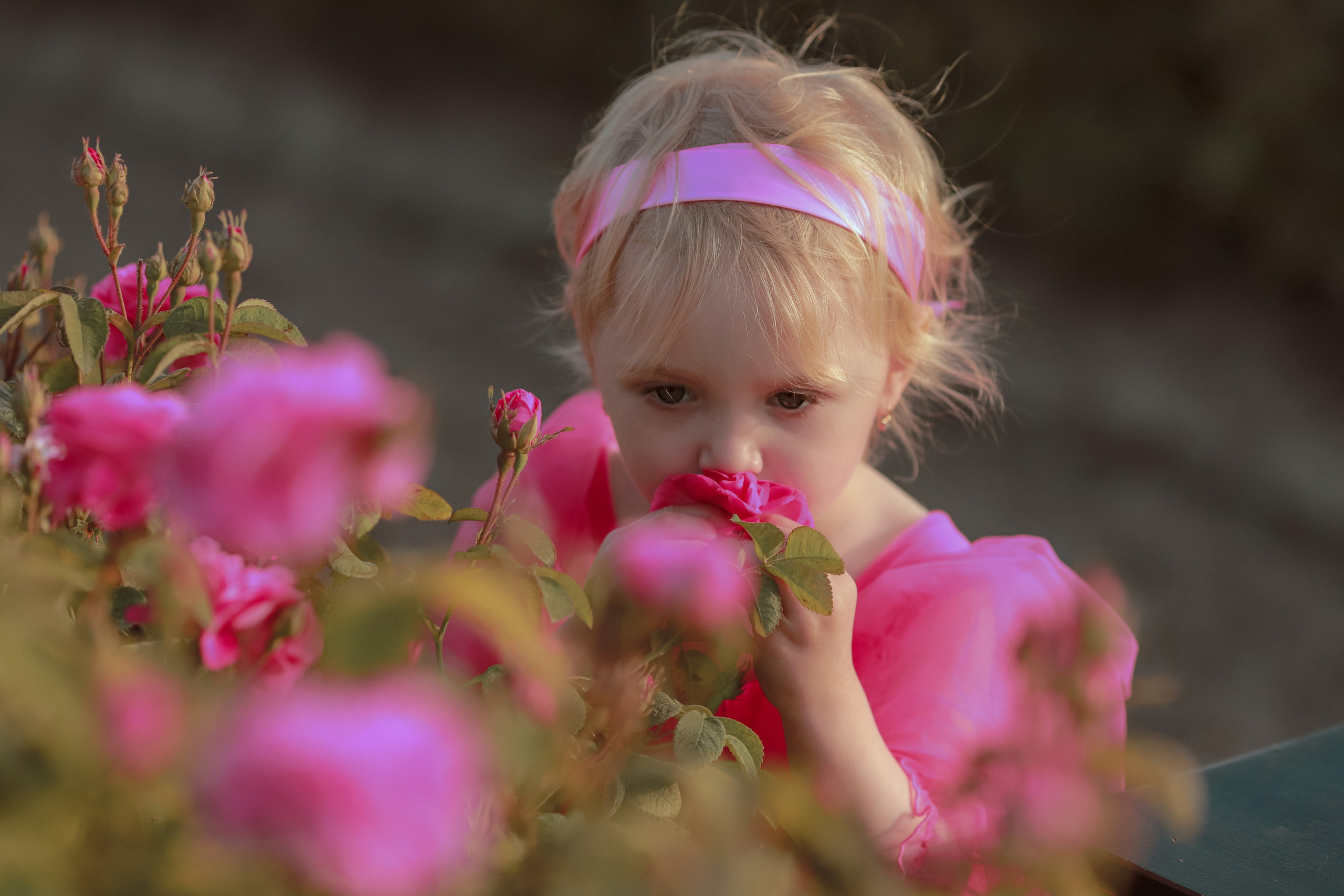 РОЗЫ. Семейный и детский фотограф в Крыму Екатерина Швец