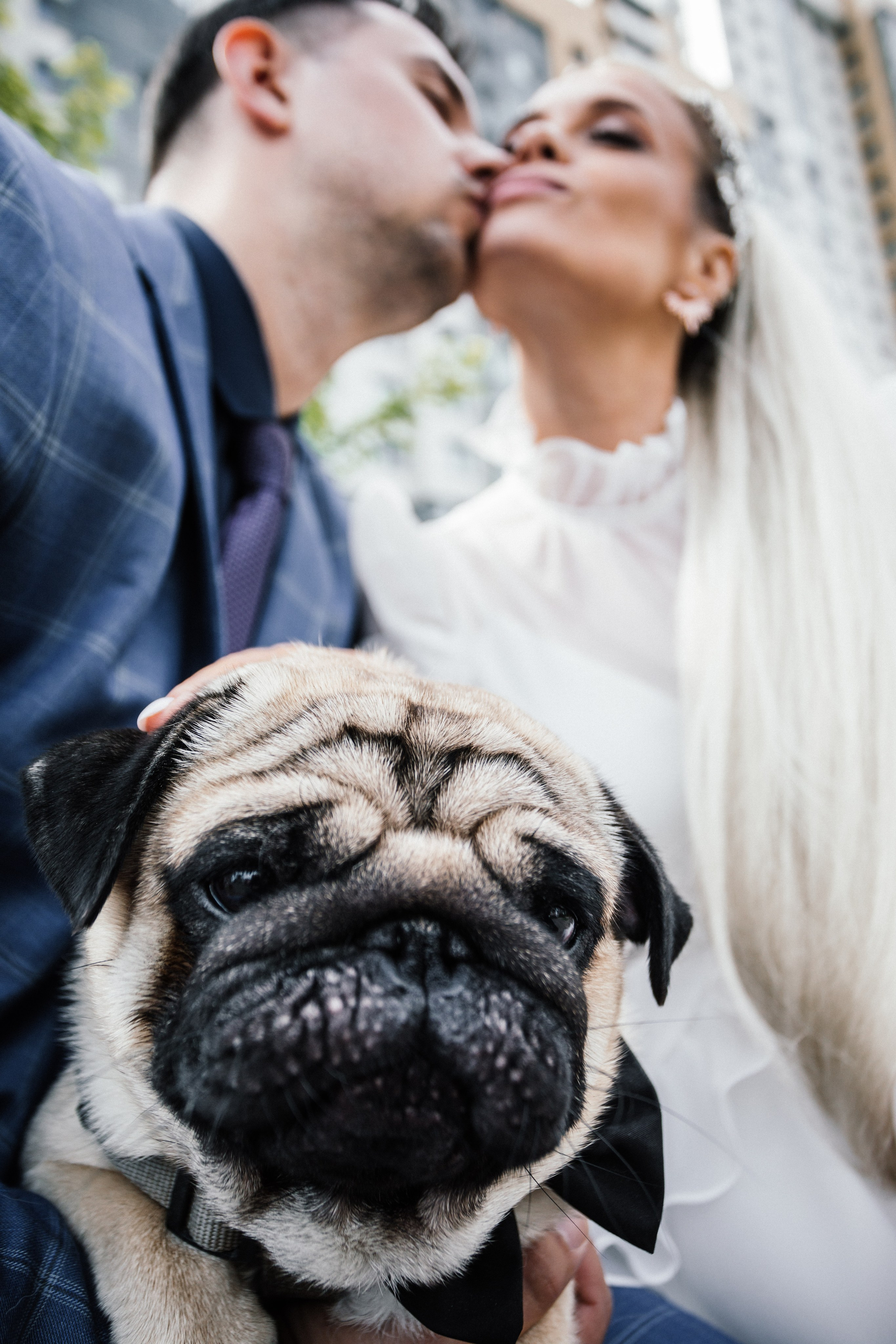 Ольга и Алексей. Свадебный фотограф в Санкт-Петербурге Анастасия Андреева