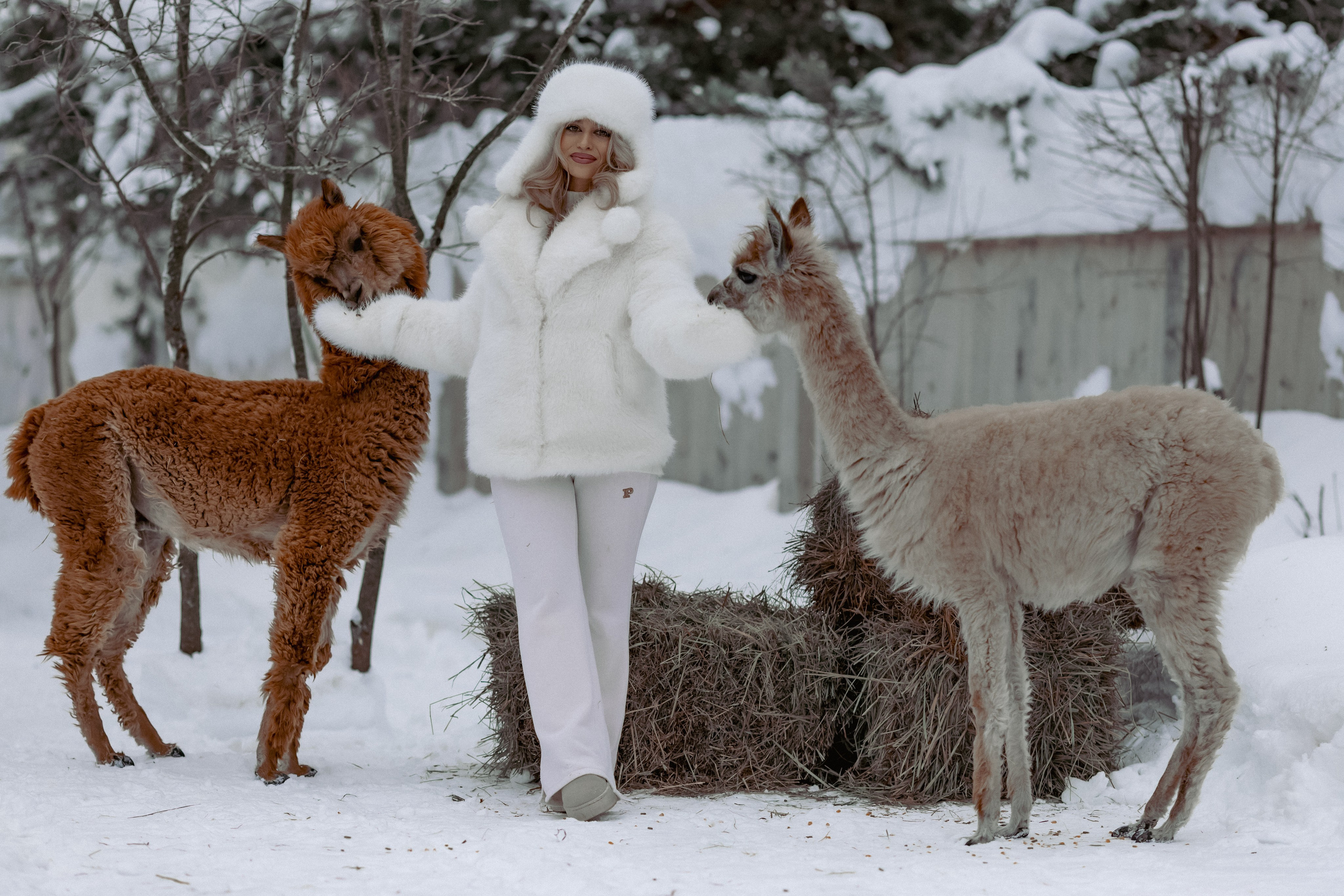 Семейный и детский фотограф Зеленоград. Детский и семейный фотограф Евгения Вахнеева Москва Зеленоград