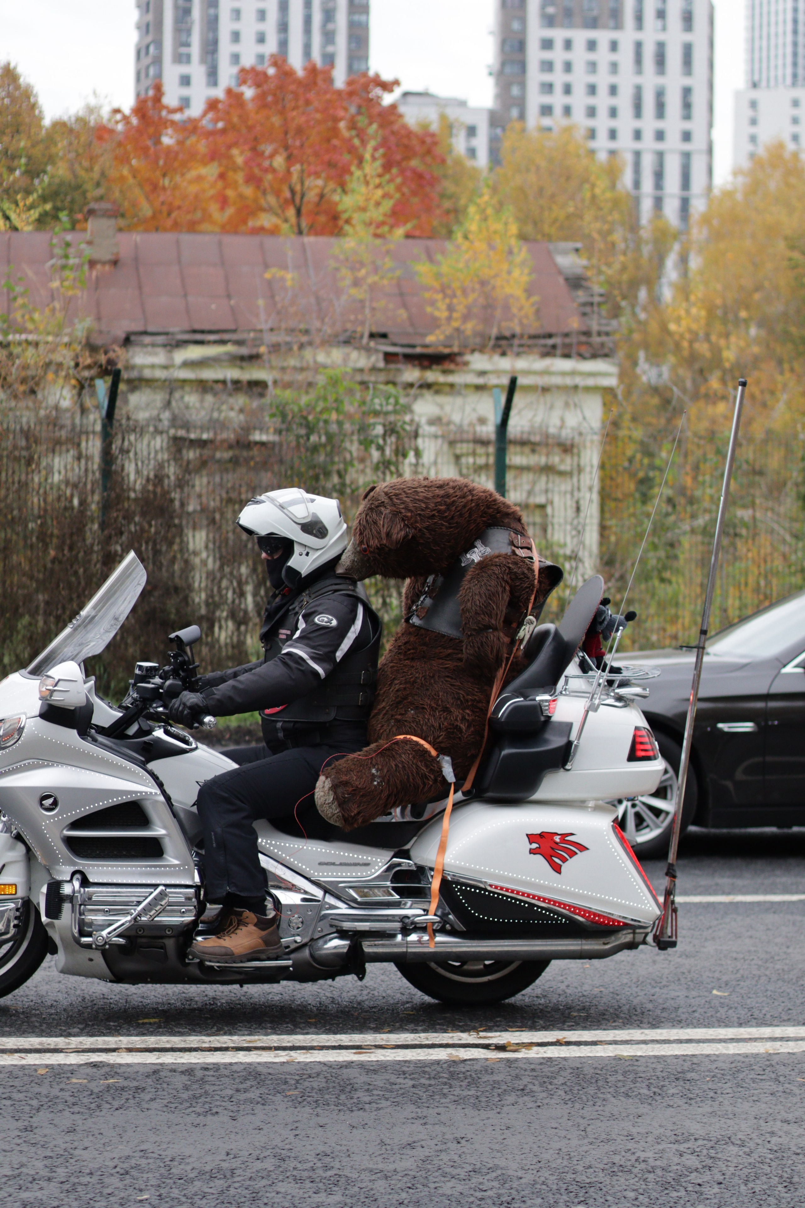 Мотоклуб «НОЧНЫЕ ВОЛКИ» Закрытие сезона 2025. Jane Kudryavtseva | MODEL PHOTO & PORTRAIT