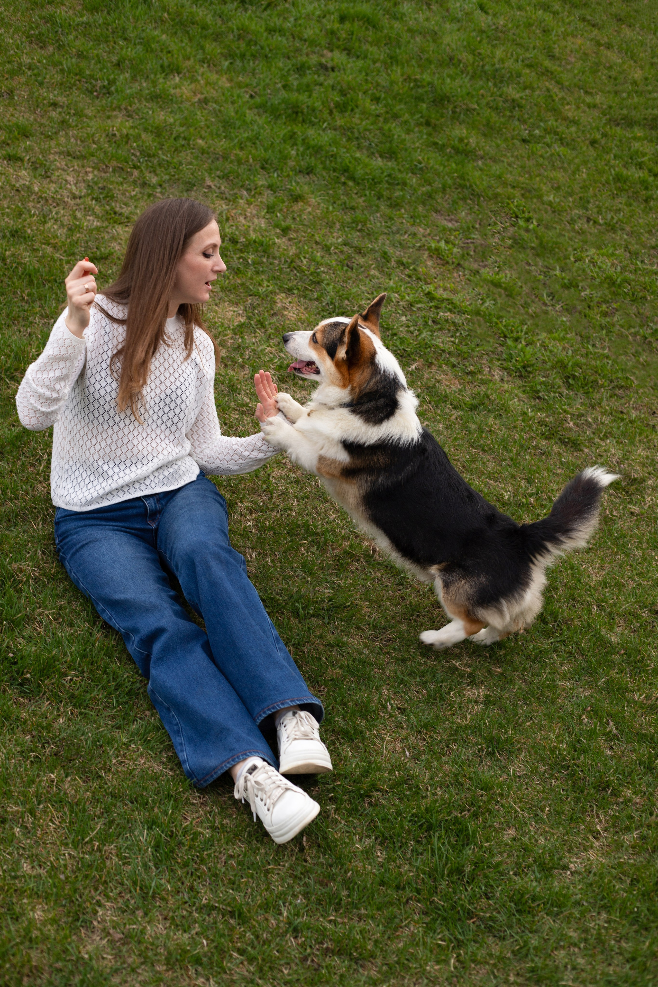 Портфолио. Фотограф-анималист Анна Леонтьева • Москва