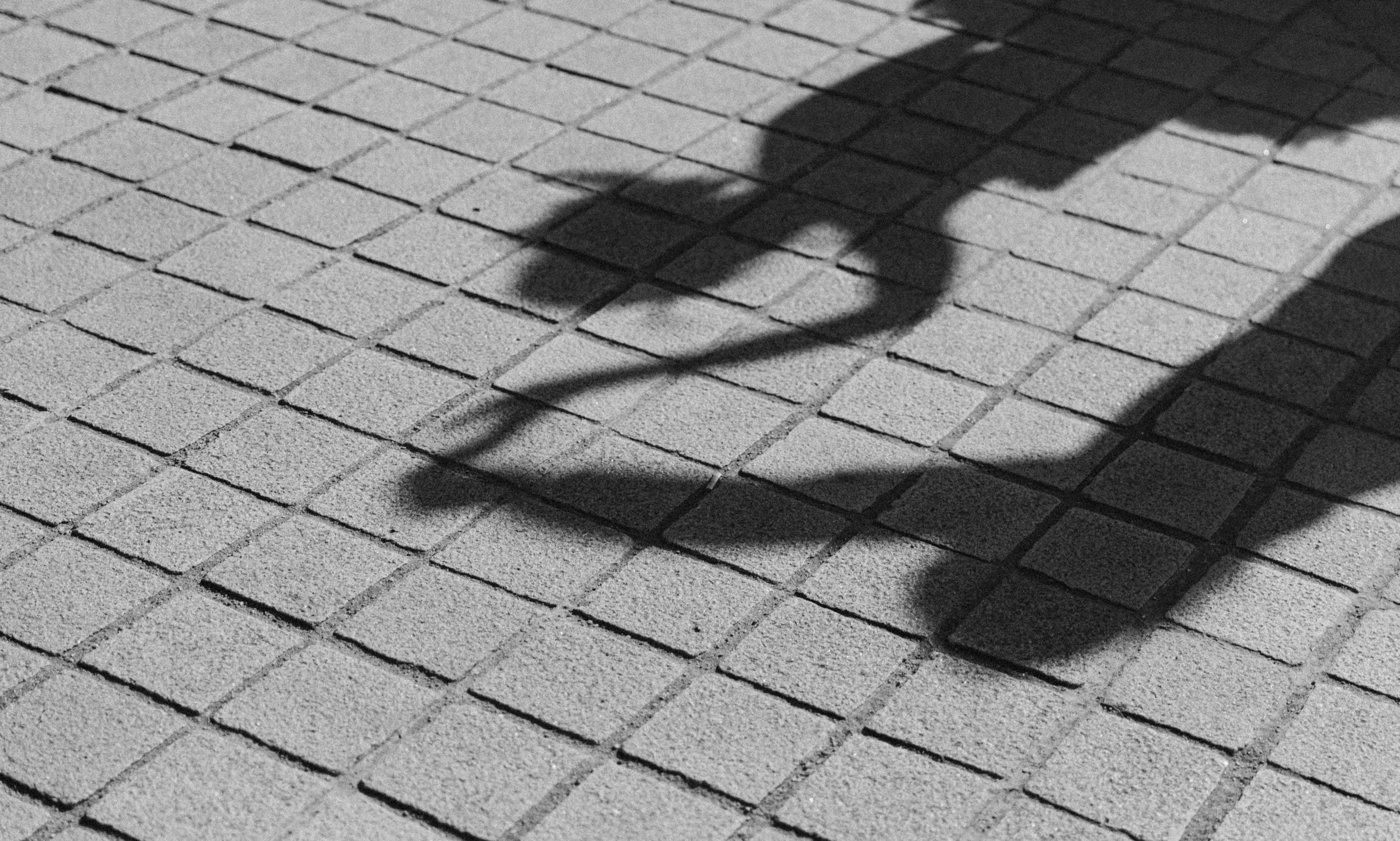 Клеманс и Пьеро. Фотограф в Париже