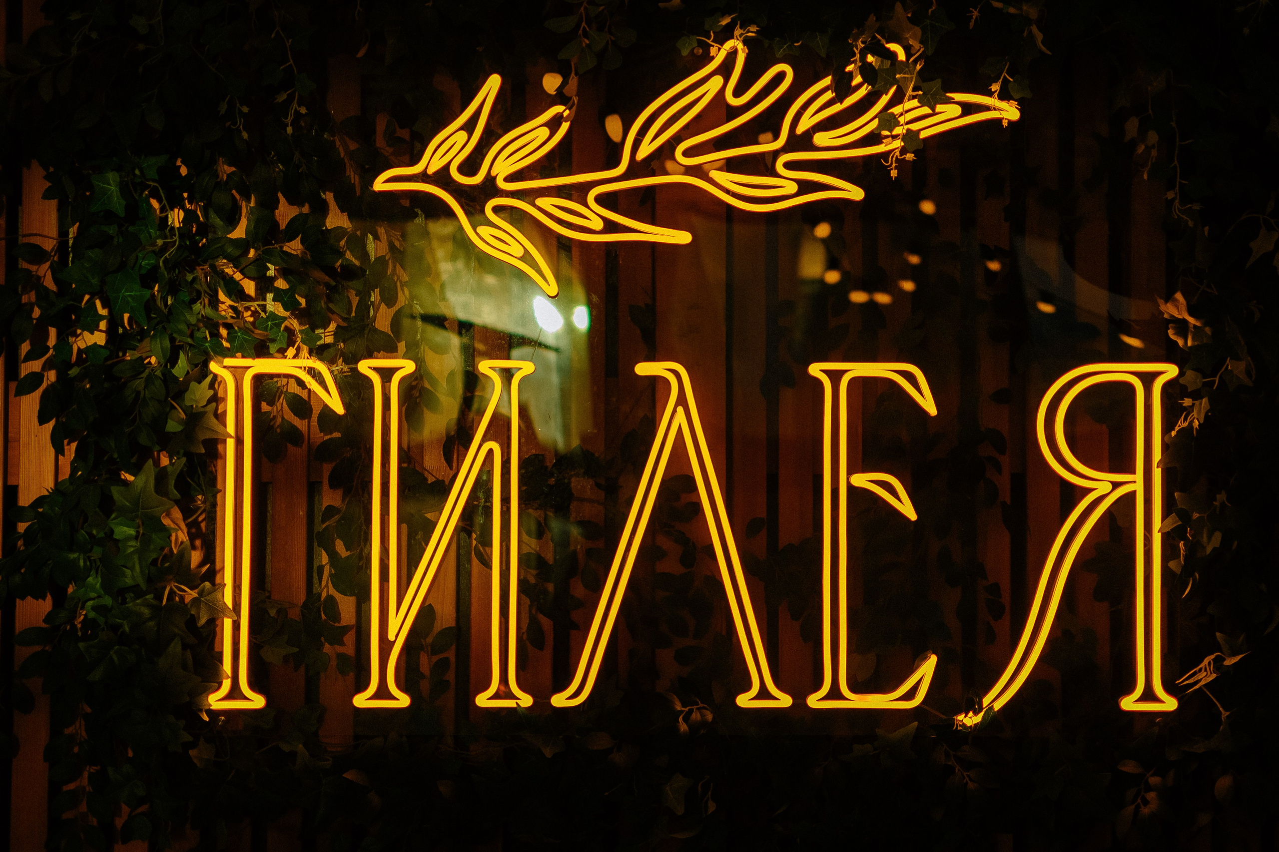 Встреча бизнес клуба MPSELLERS. Свадебный фотограф в Екатеринбурге Артём Зайнетдинов