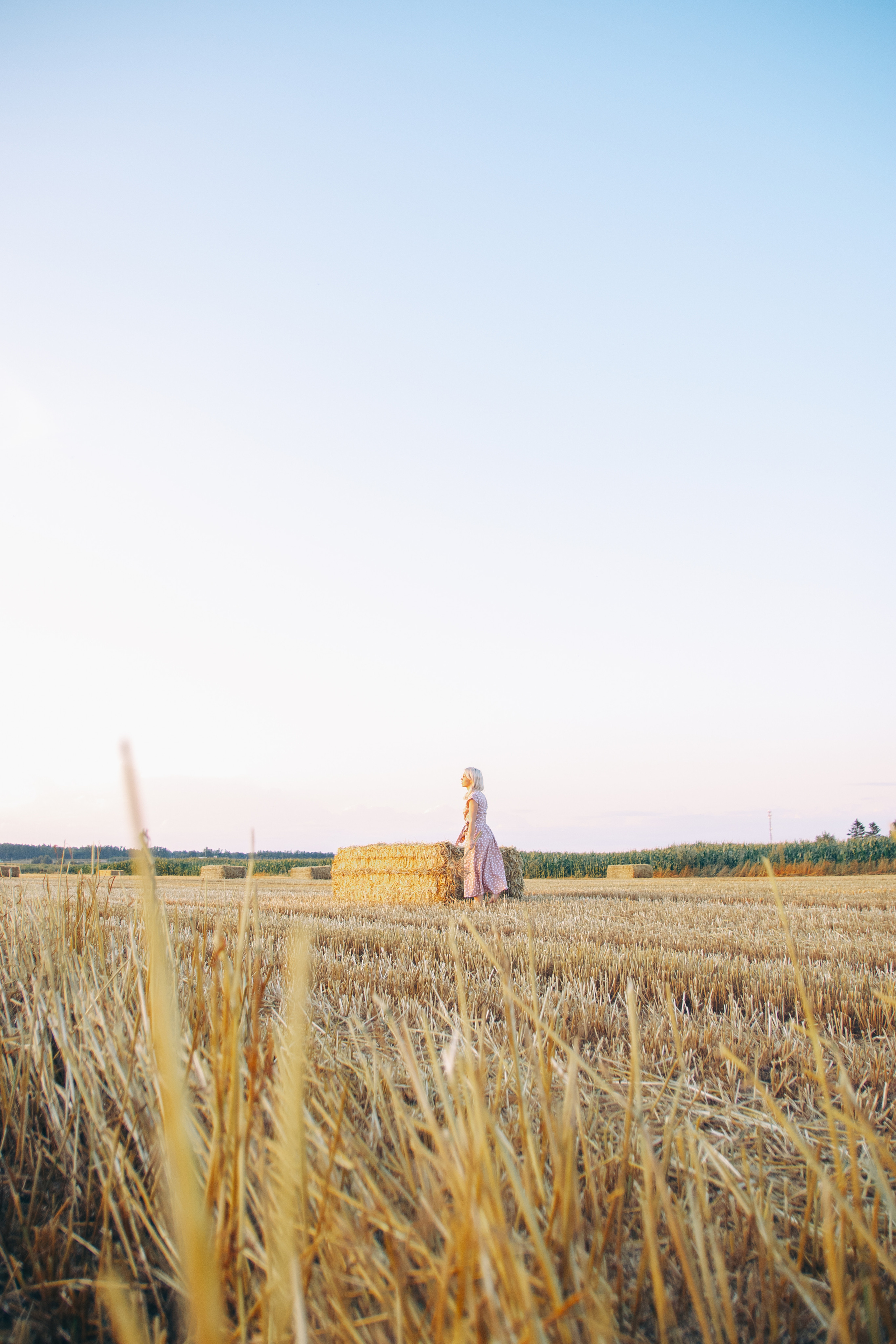 Пшеничное настроение. Семейный фотограф в Москве