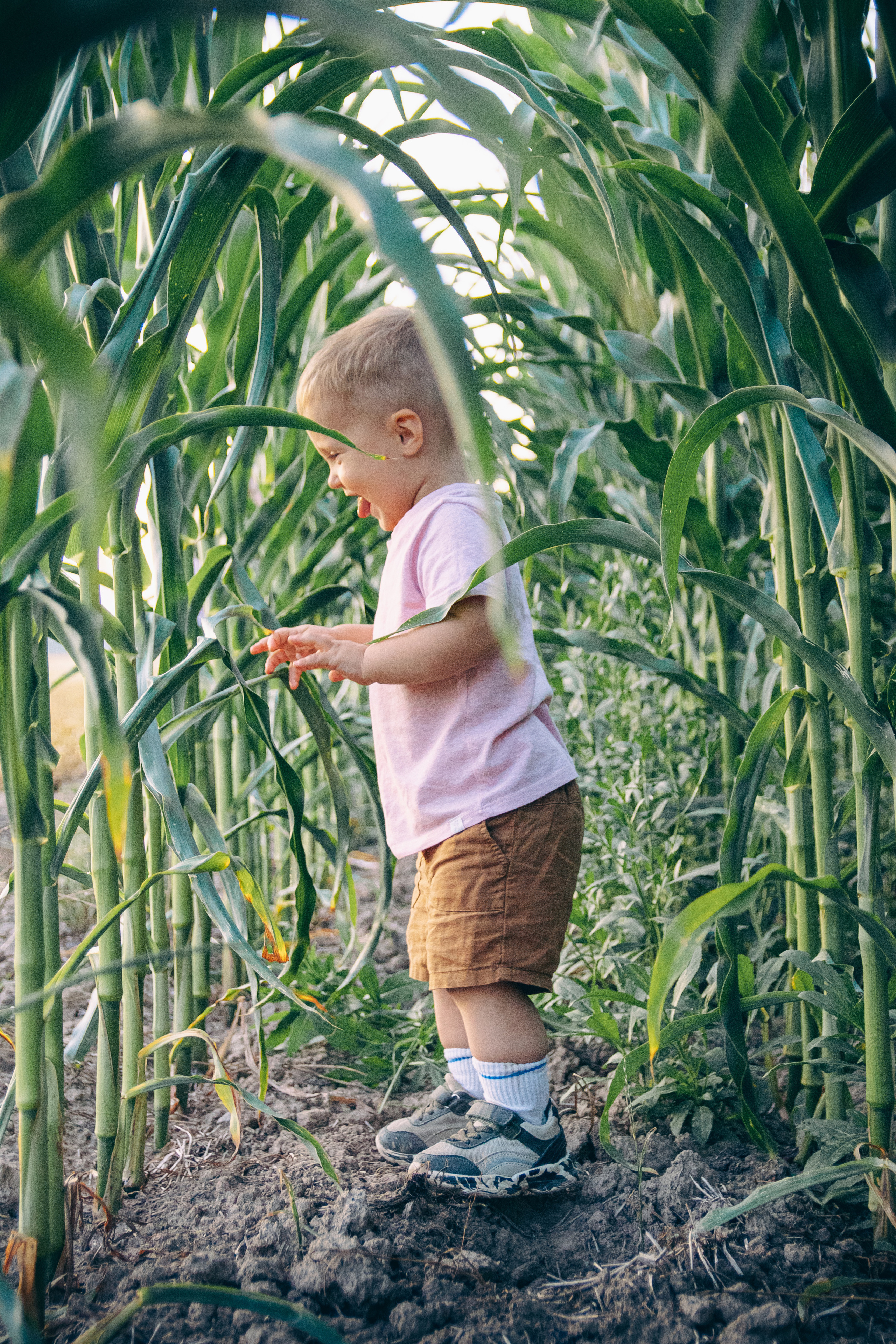 Пшеничное настроение. Семейный фотограф в Москве