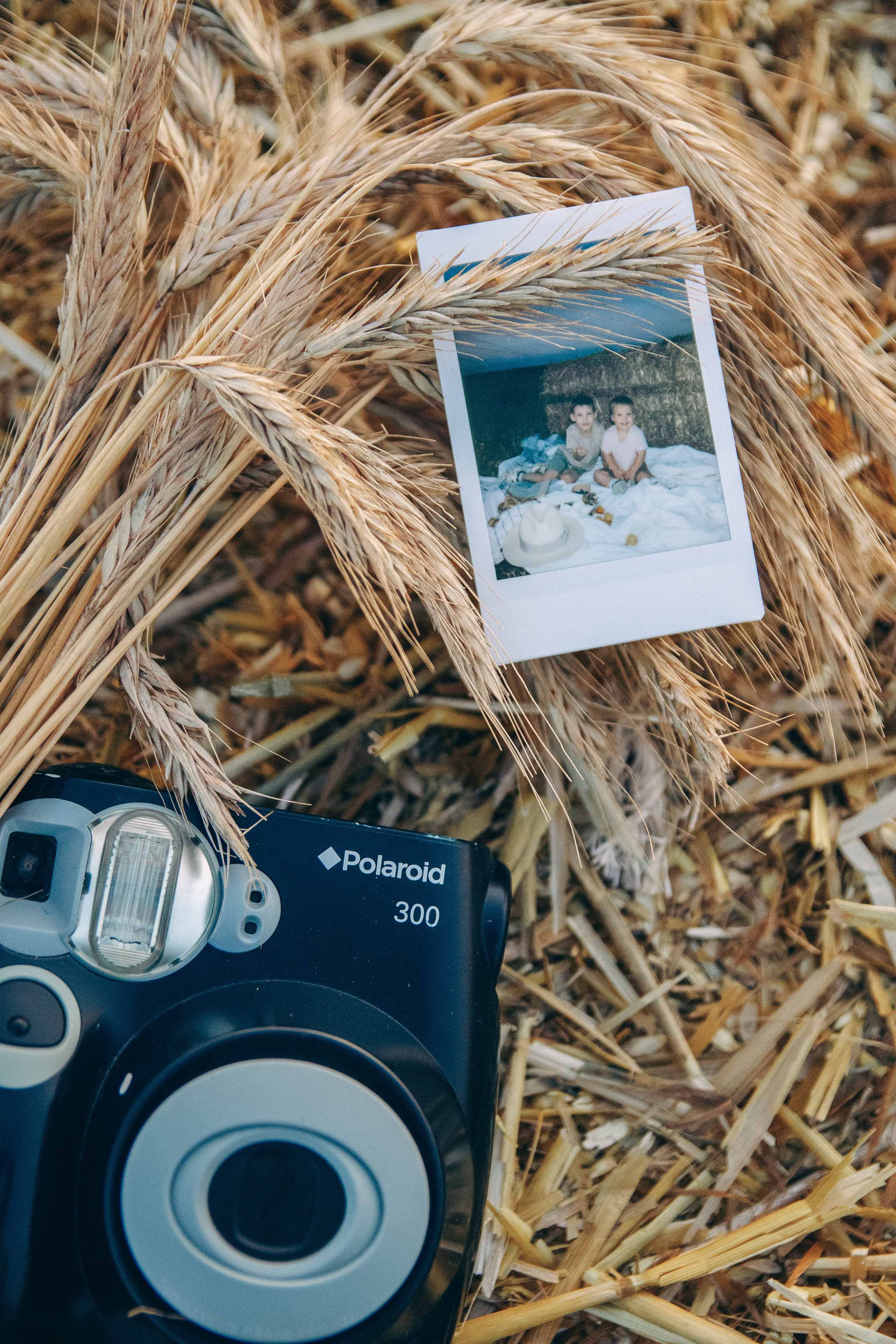 Пшеничное настроение. Семейный фотограф в Москве