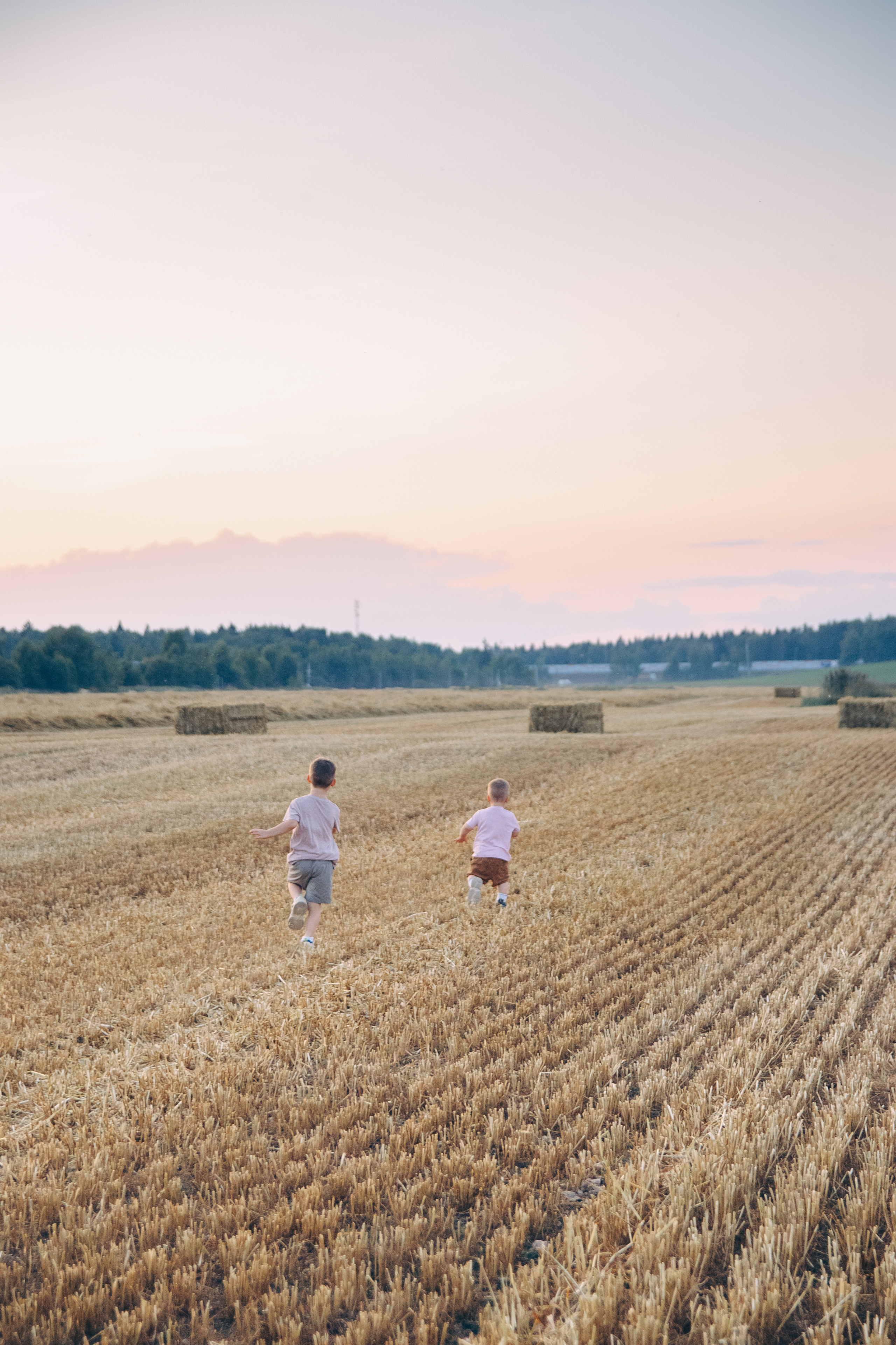 Пшеничное настроение. Семейный фотограф в Москве