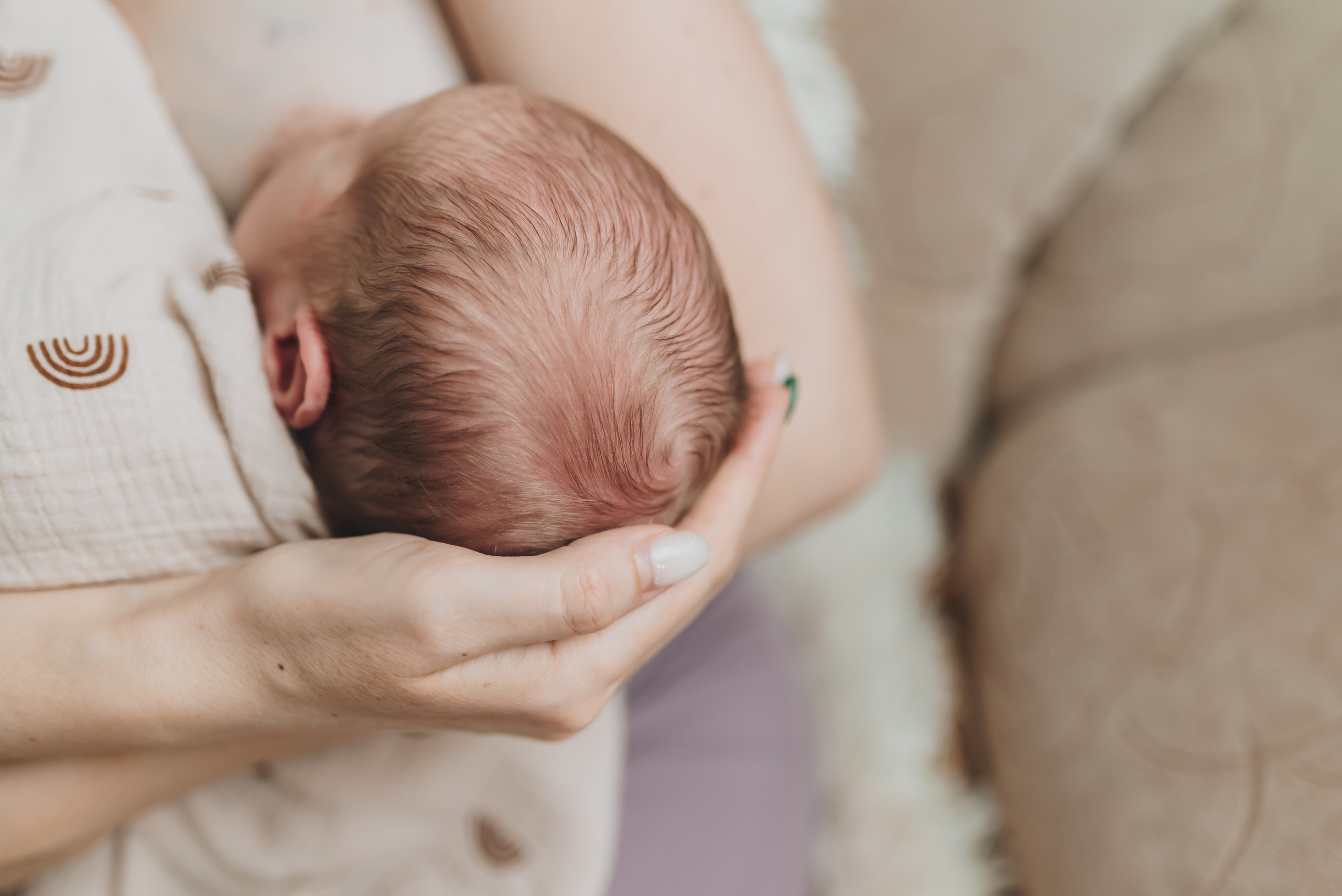 Alex. Natalia Finch Photography — Family, Kids & Pet Photographer in Chicago, IL