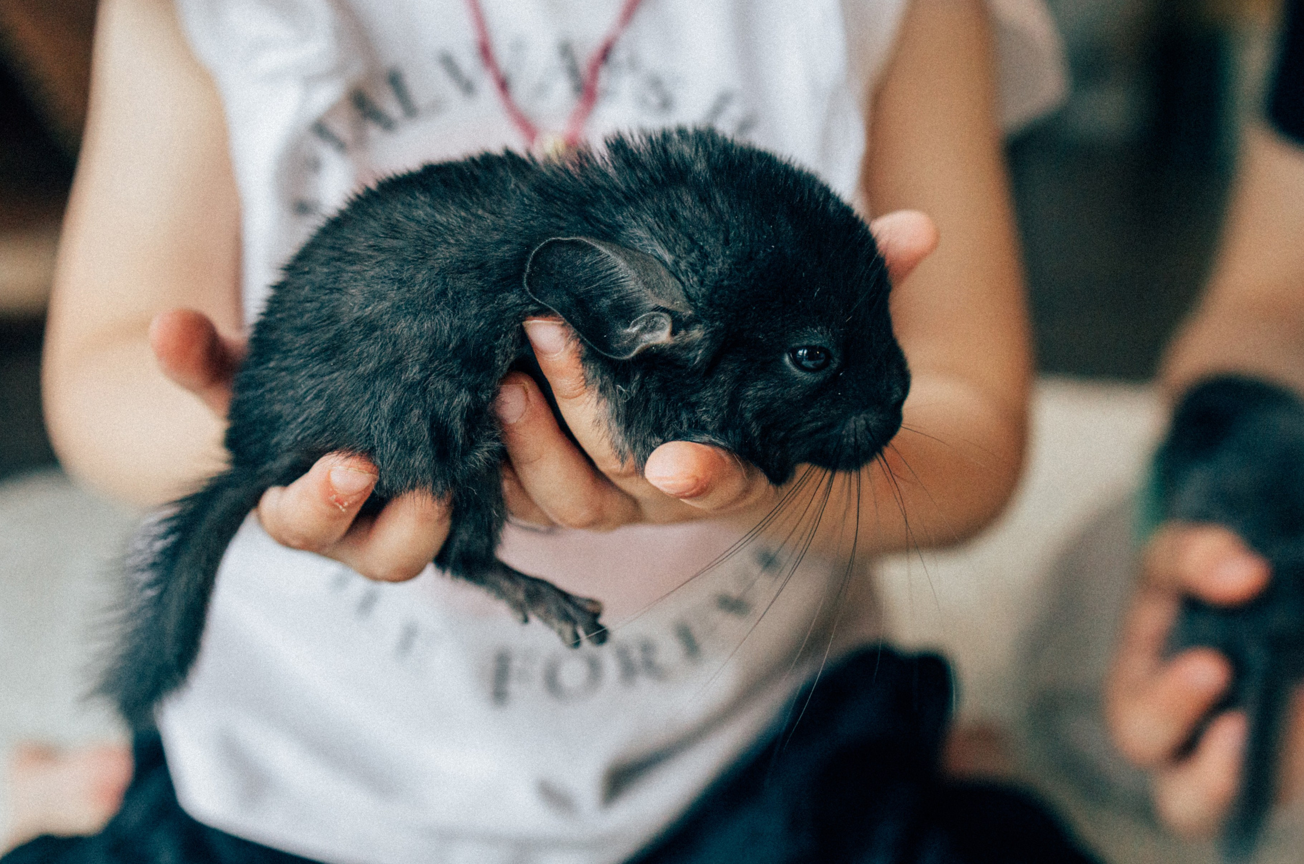 Lifstyle Фролкины. Семейный, женский и детский фотограф Татьяна Колобаева