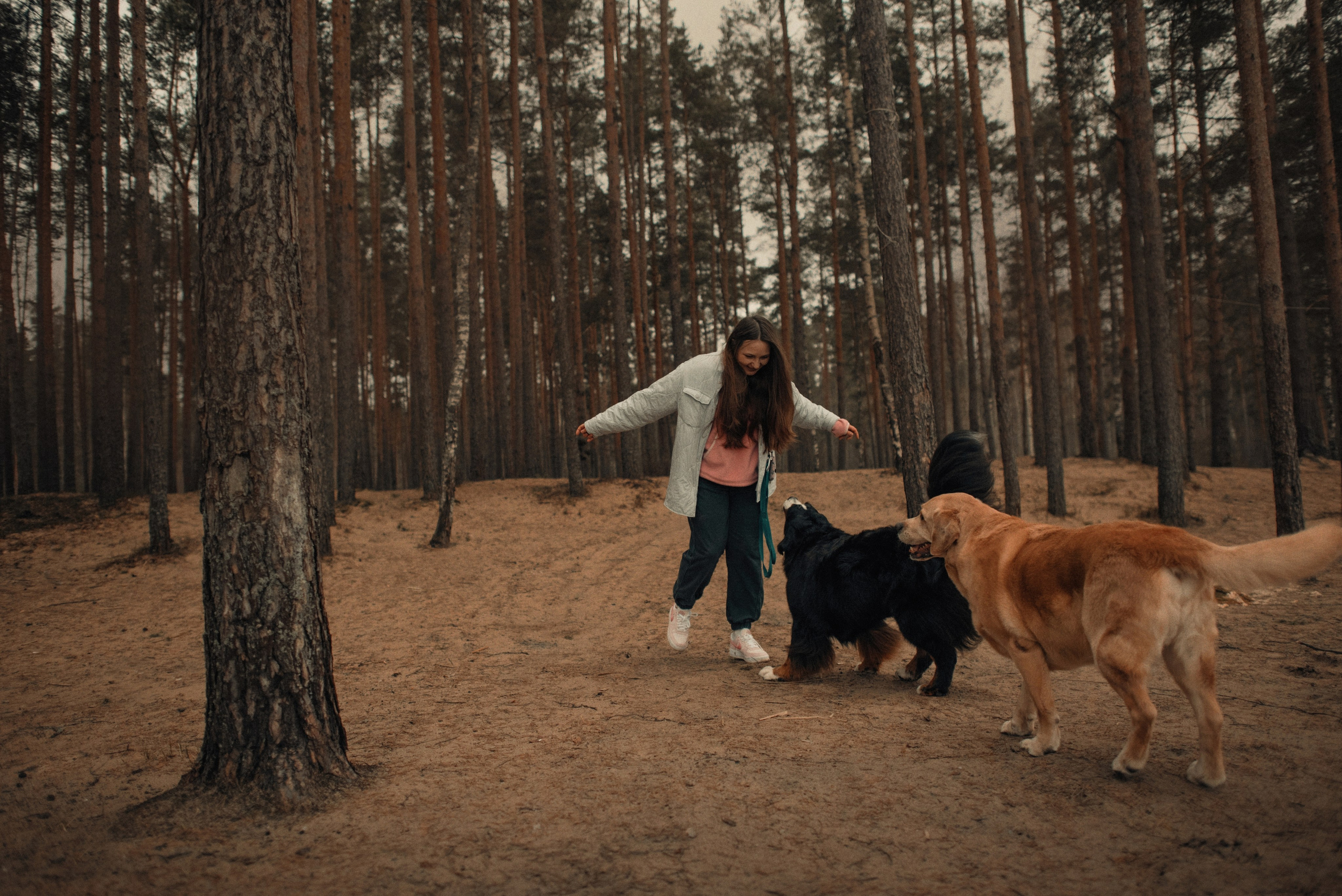 Прогулка: берн Пума, Фрэнк и Юля в Питере. Портфолио