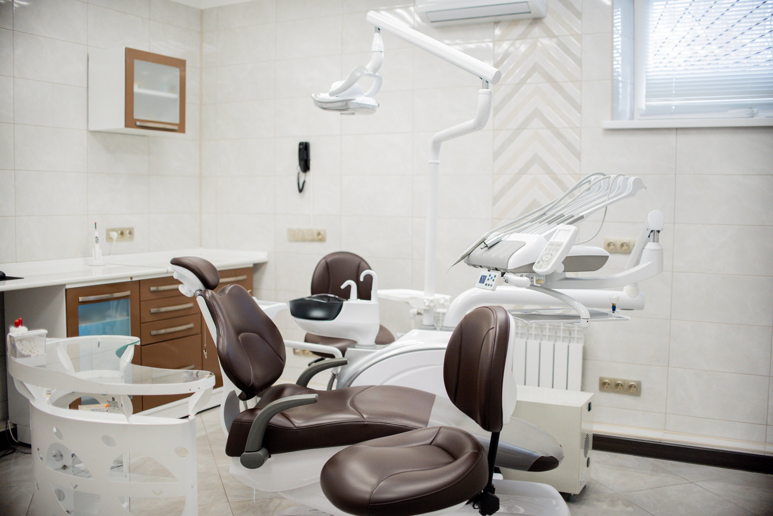 Стоматология Лина. Фотограф-анималист Валерия, Москва, Мытищи