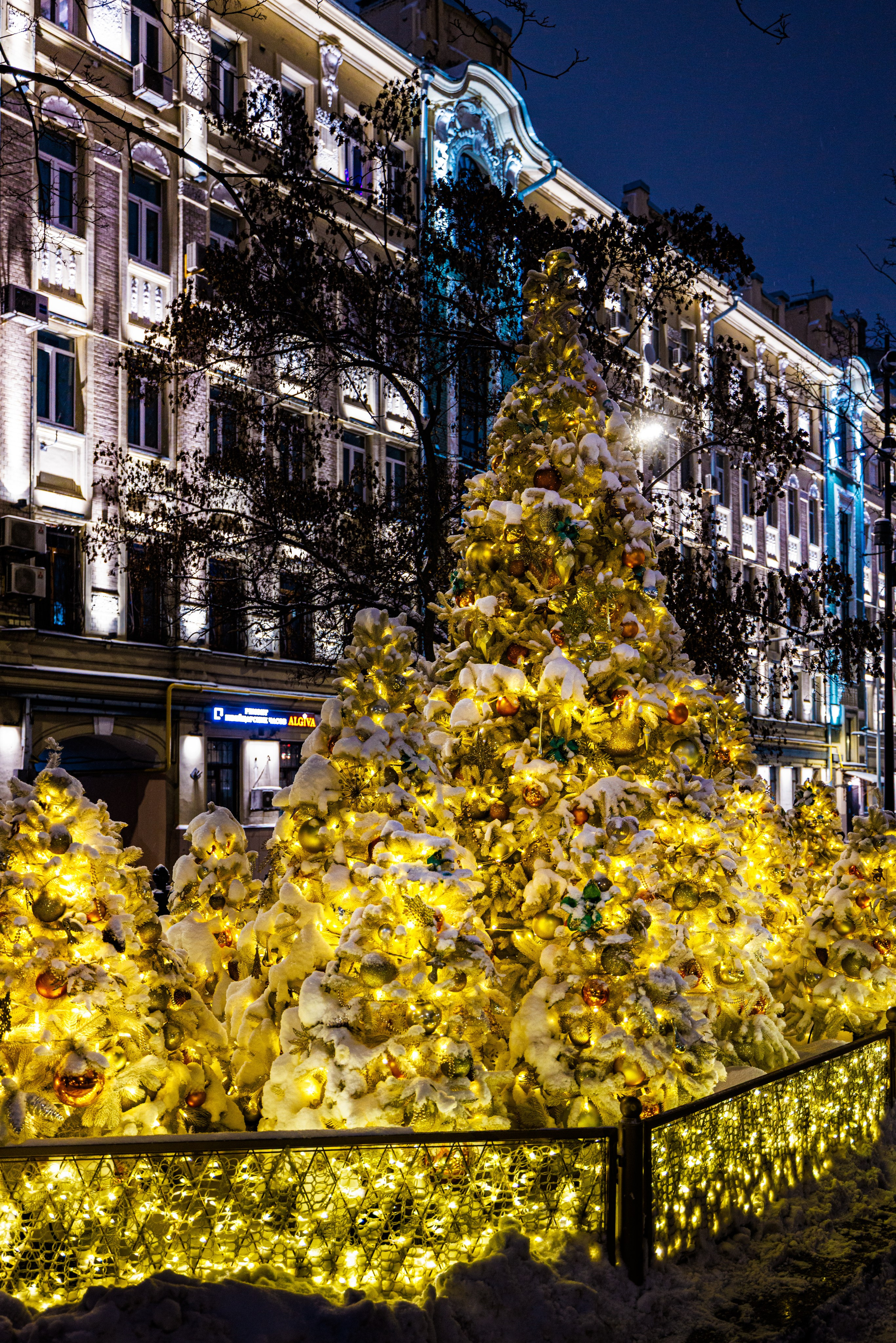 Бульвар. Январь 2026. Фотографирую жизнь! Московский фотограф волонтер