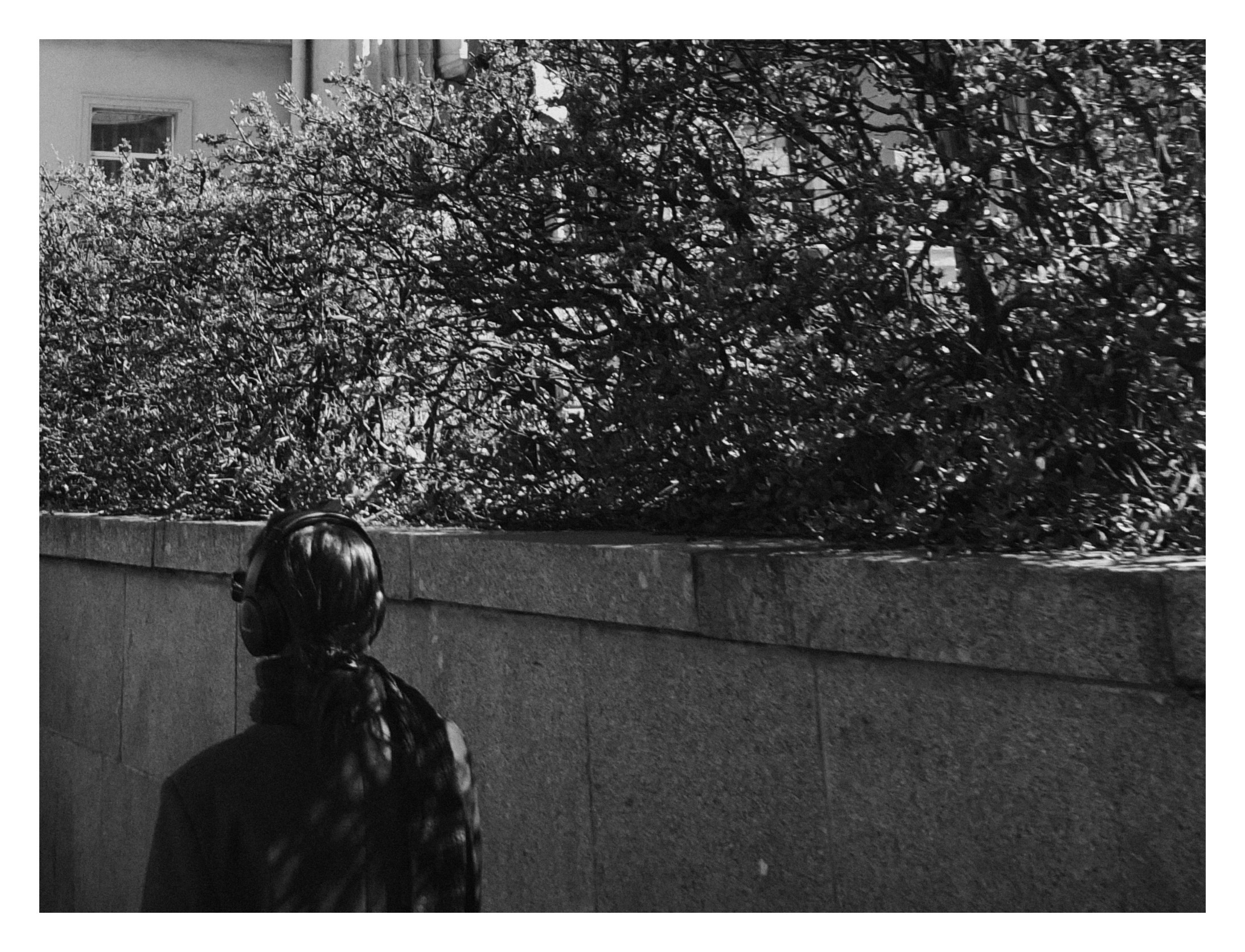 Bec. Шмитов Егор