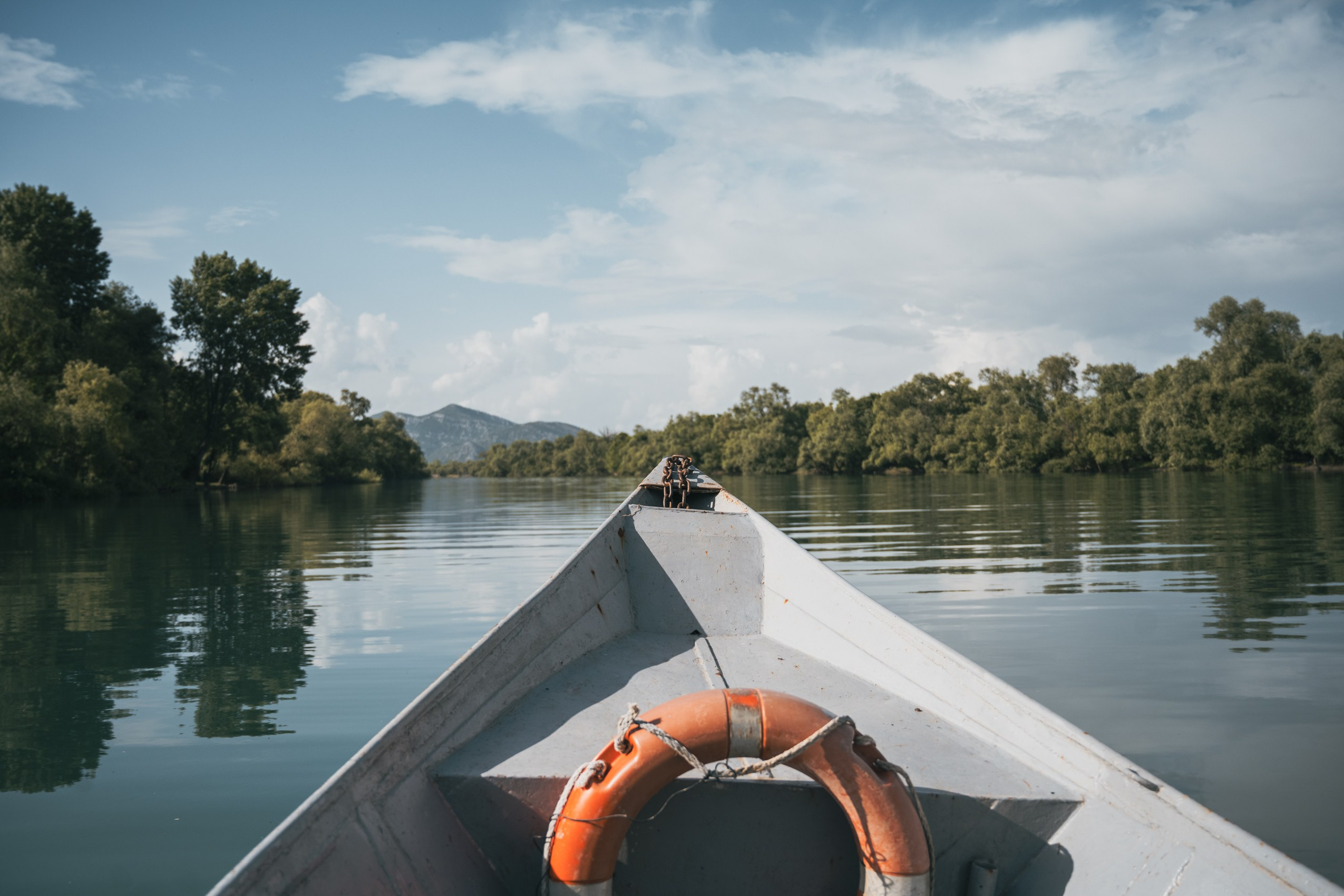 СКАДАРСКОЕ ОЗЕРО. ЧЕРНОГОРИЯ. Фотограф в Белграде Чугреева Елена