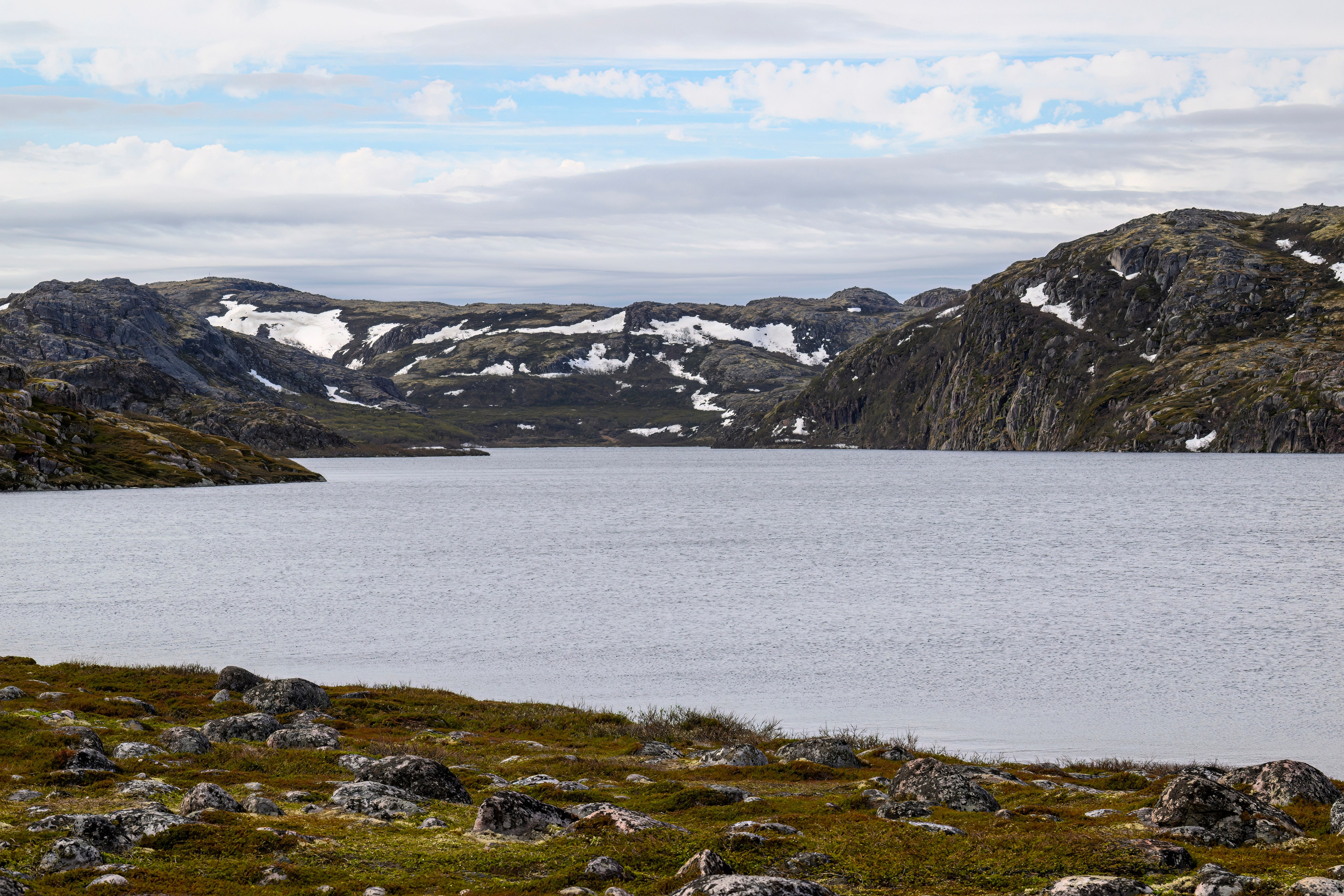 Мурманская область. Июнь 2024. Фотограф Сергей Пупонин