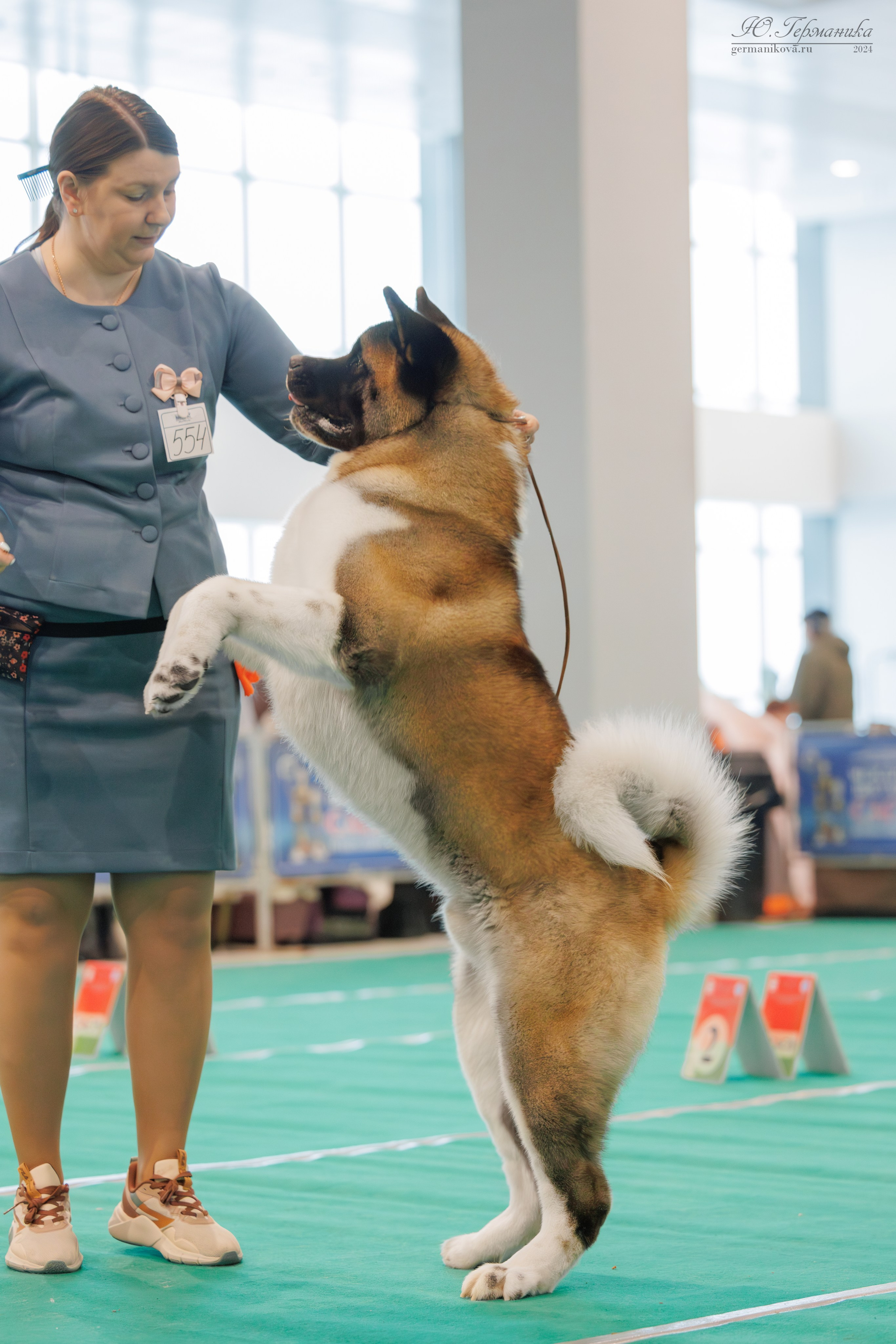 Минск 1-2.03.2025. Фотограф-анималист Юлия Германика