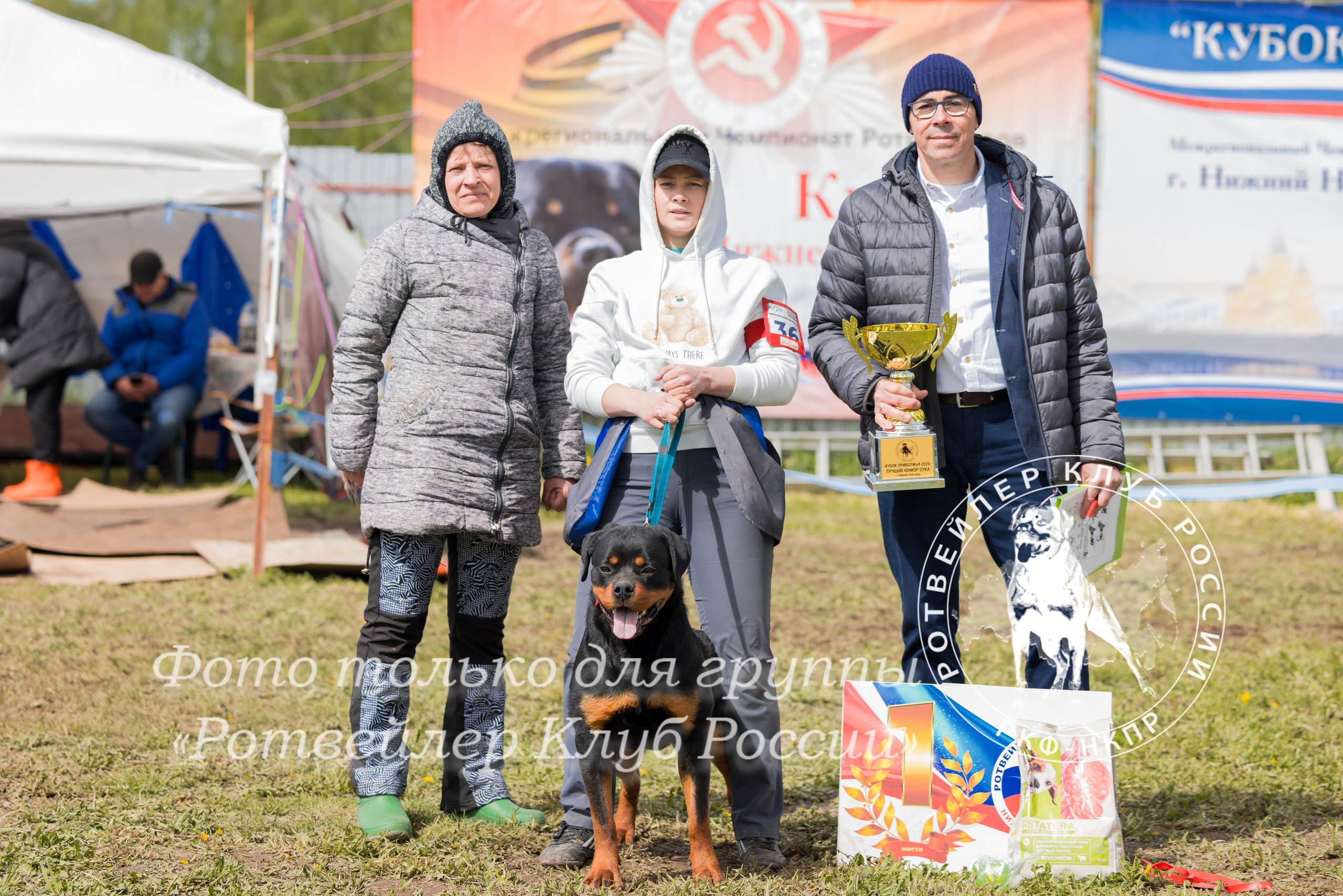 Нижний Новгород 2хмоно ротвейлеров 10-11.05.2025. Фотограф-анималист Юлия Германика