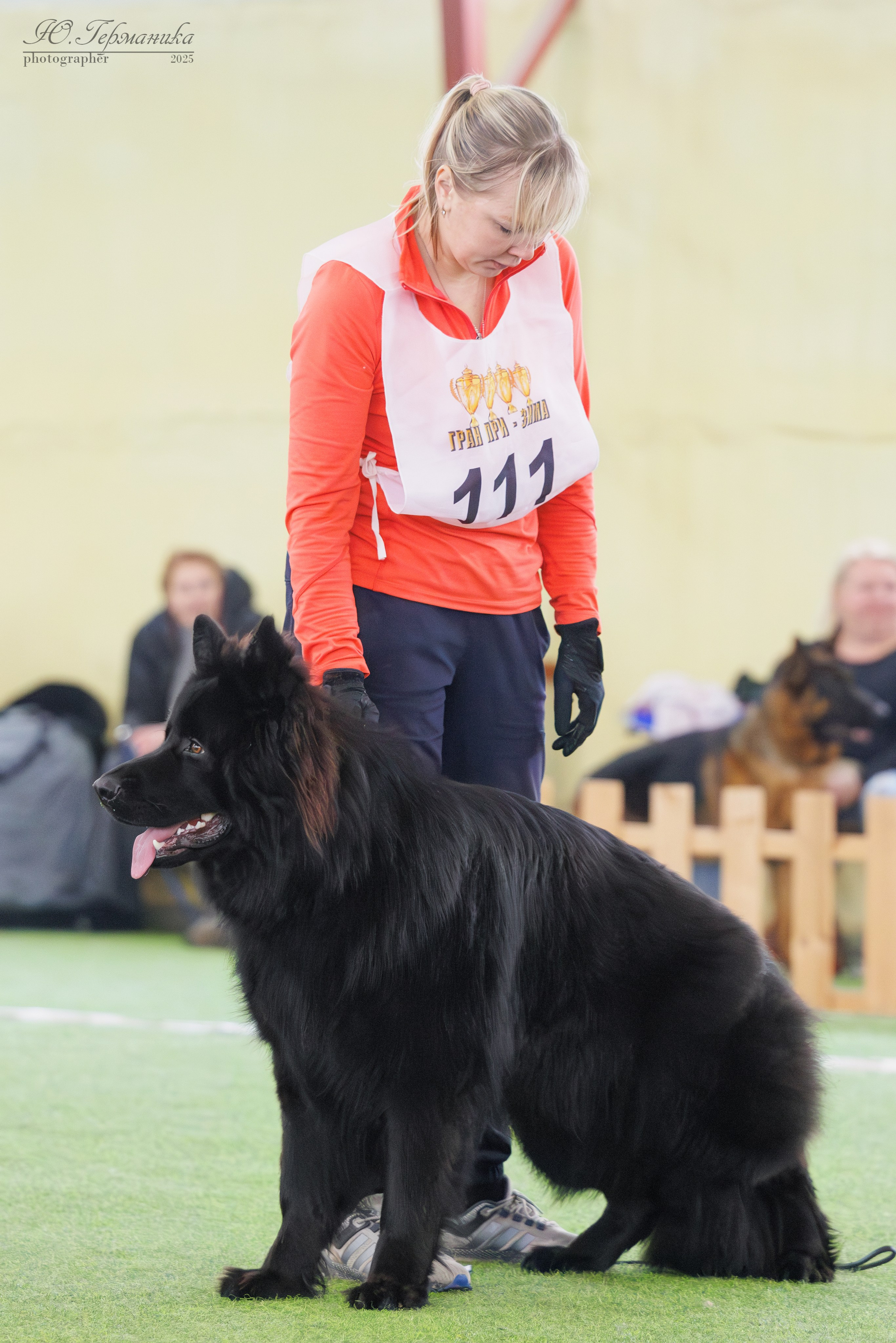 Гран-При 8.02.2025 и Крокус 09.02.2025. Фотограф-анималист Юлия Германика