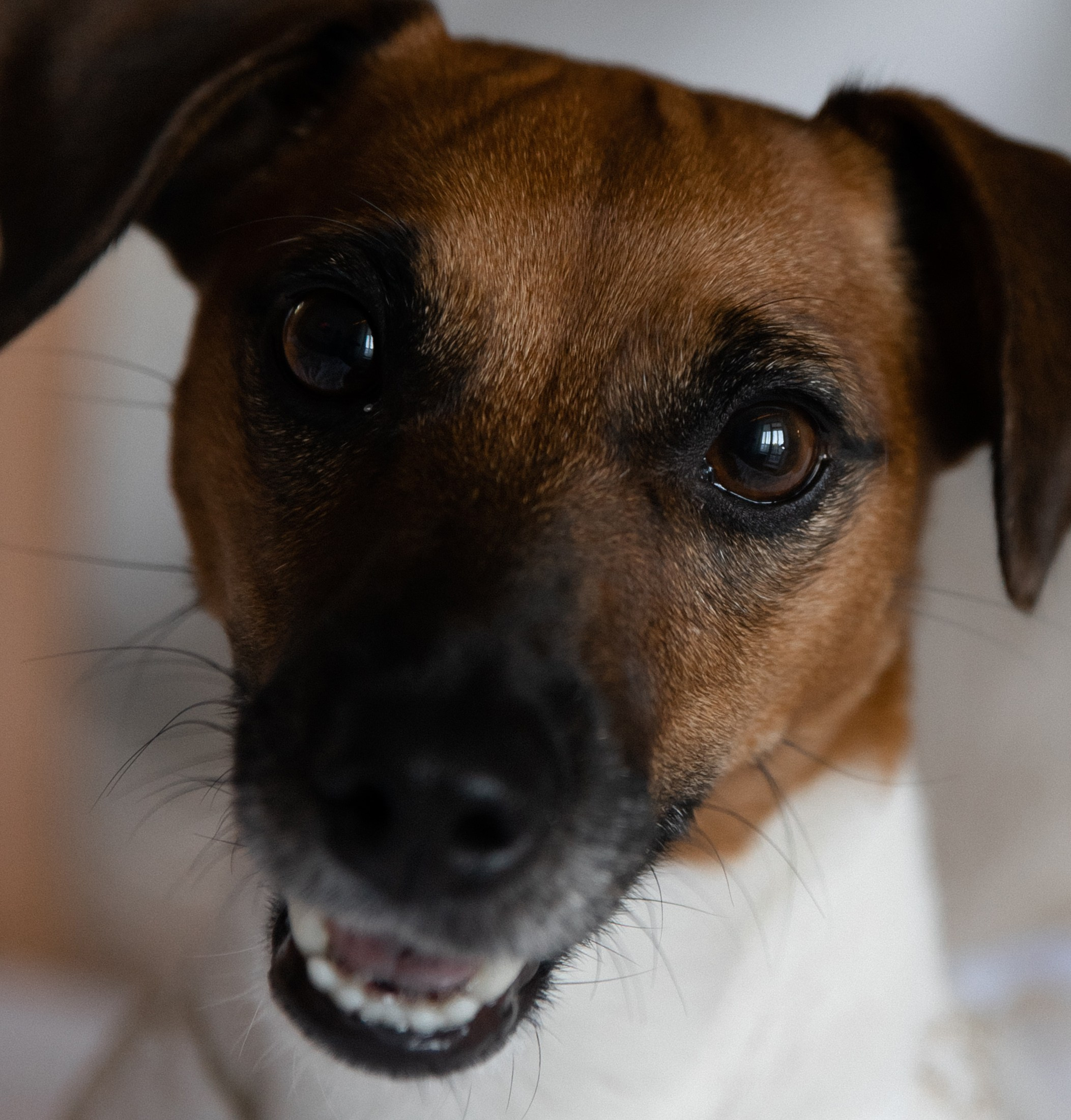 Wedding. Главная