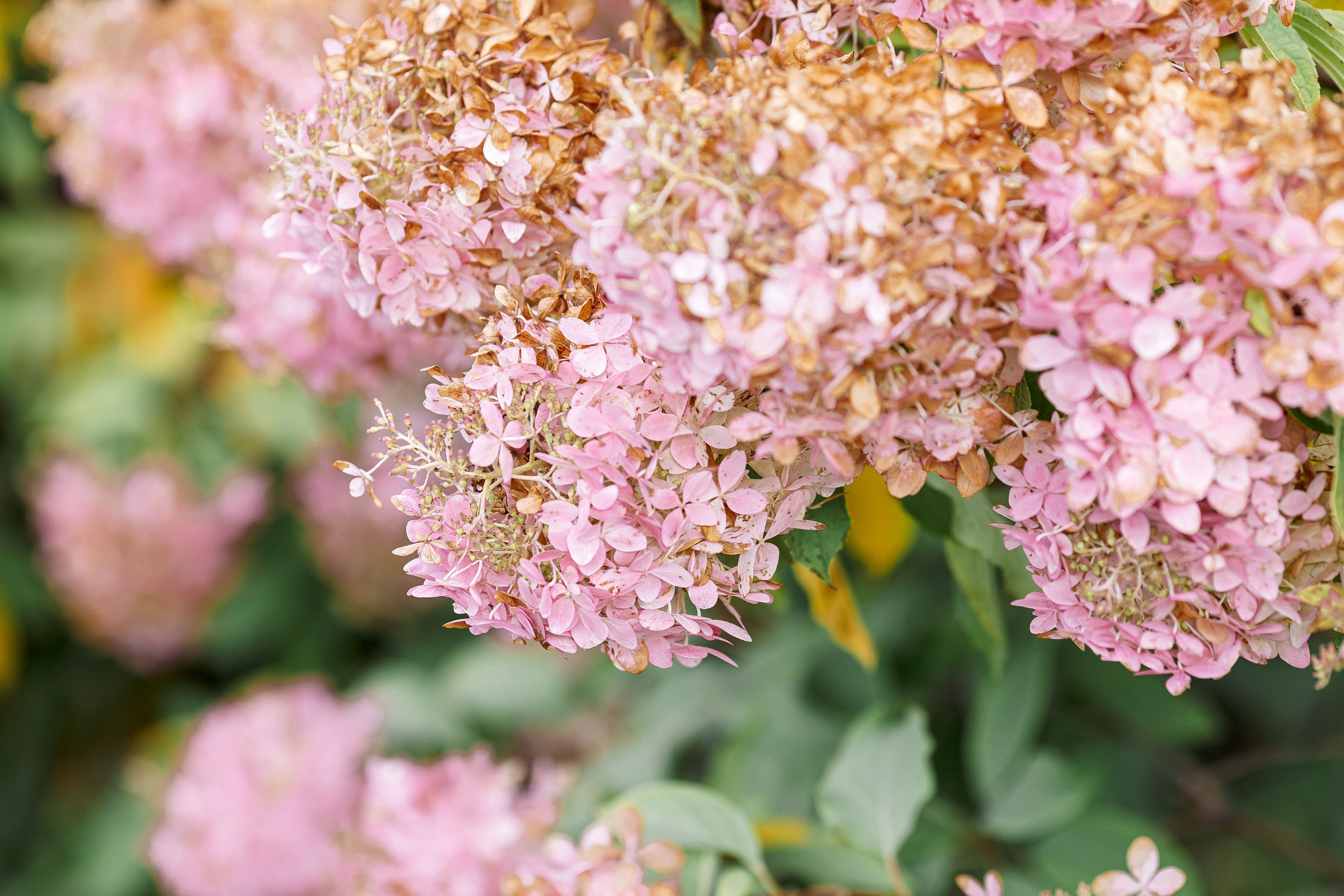 Станислав и Марина. Свадебный и семейный фотограф в Челябинске Юлия Ишимова