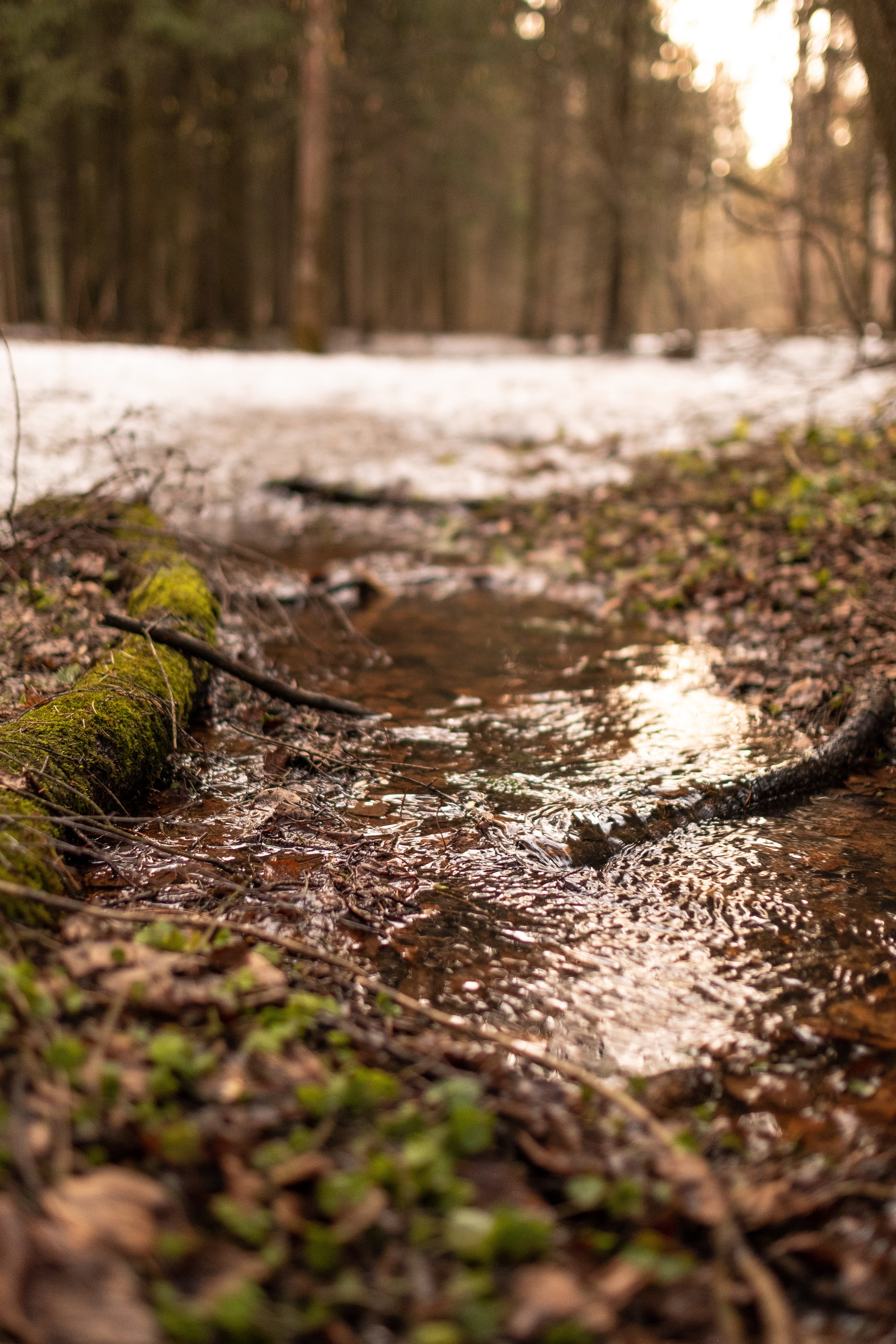 ПЕРЕДЕЛКИНО. ПОБУДЬ ЗДЕСЬ И ЦЕЛЕЕ БУДЕТ ЭТОТ МИР