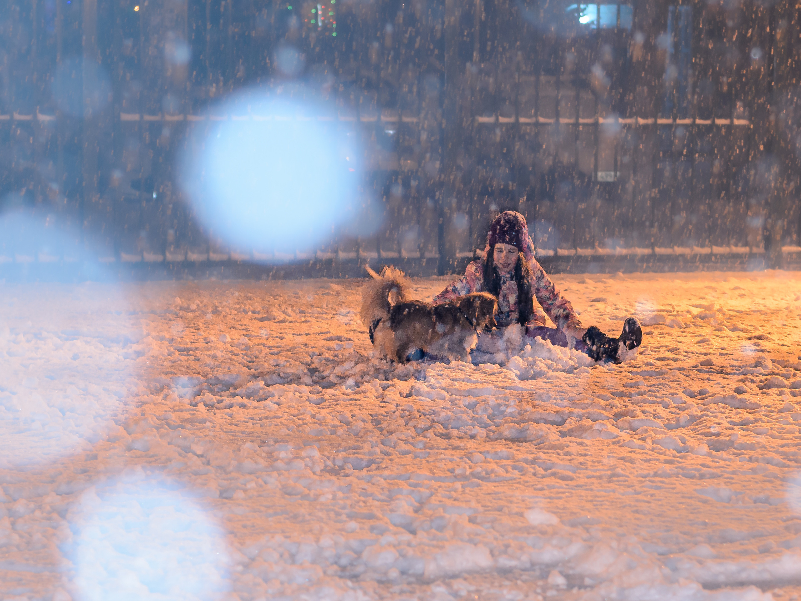 Домашние питомцы и их люди. Фотограф в Краснодаре Людмила Панченко