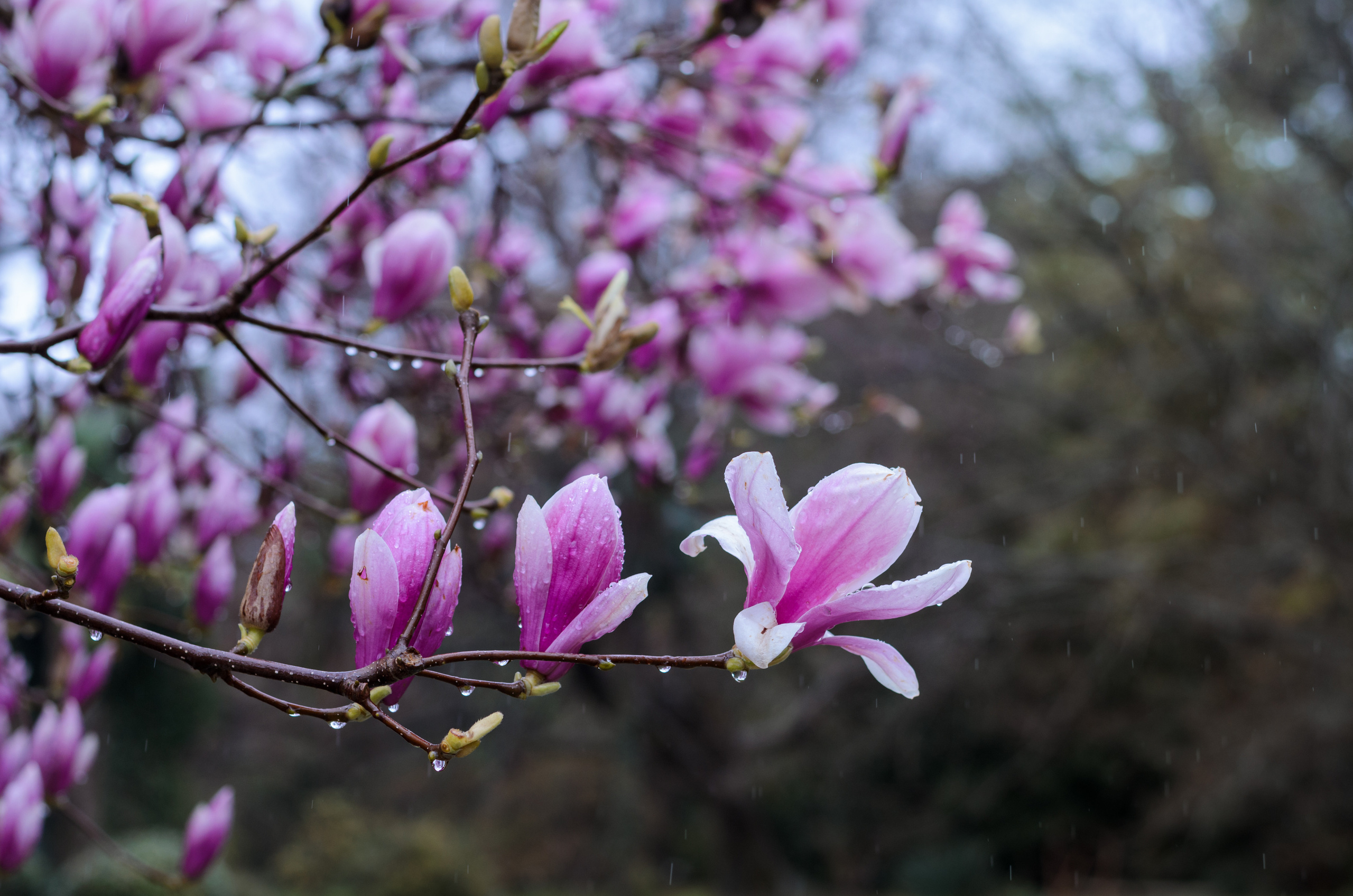 Флора, фауна, макро. Фотограф в Краснодаре Людмила Панченко
