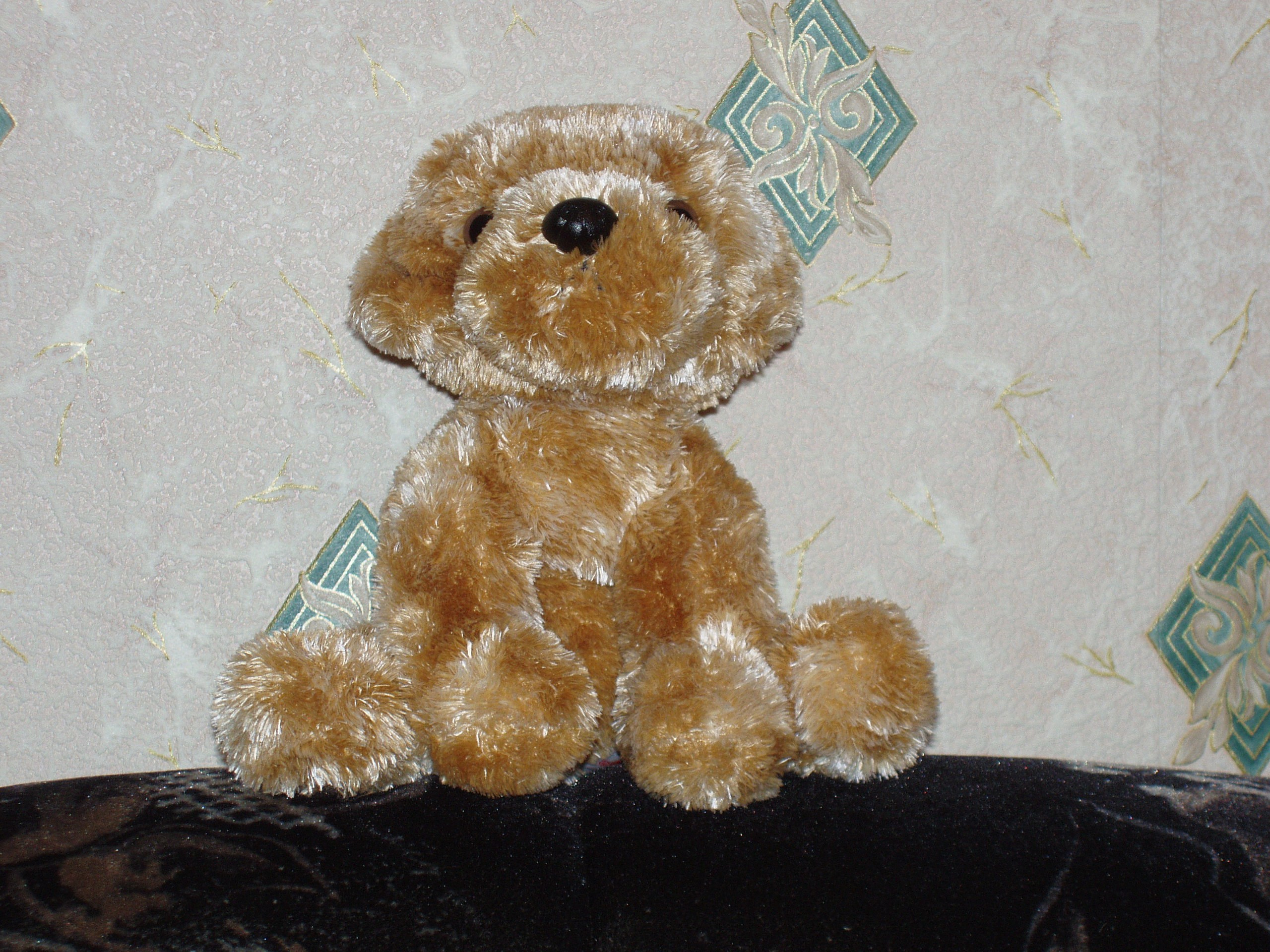 Танцы после концерта 14.01.2007. Семейный, Свадебный фотограф СПБ Питер— Романова Екатерина