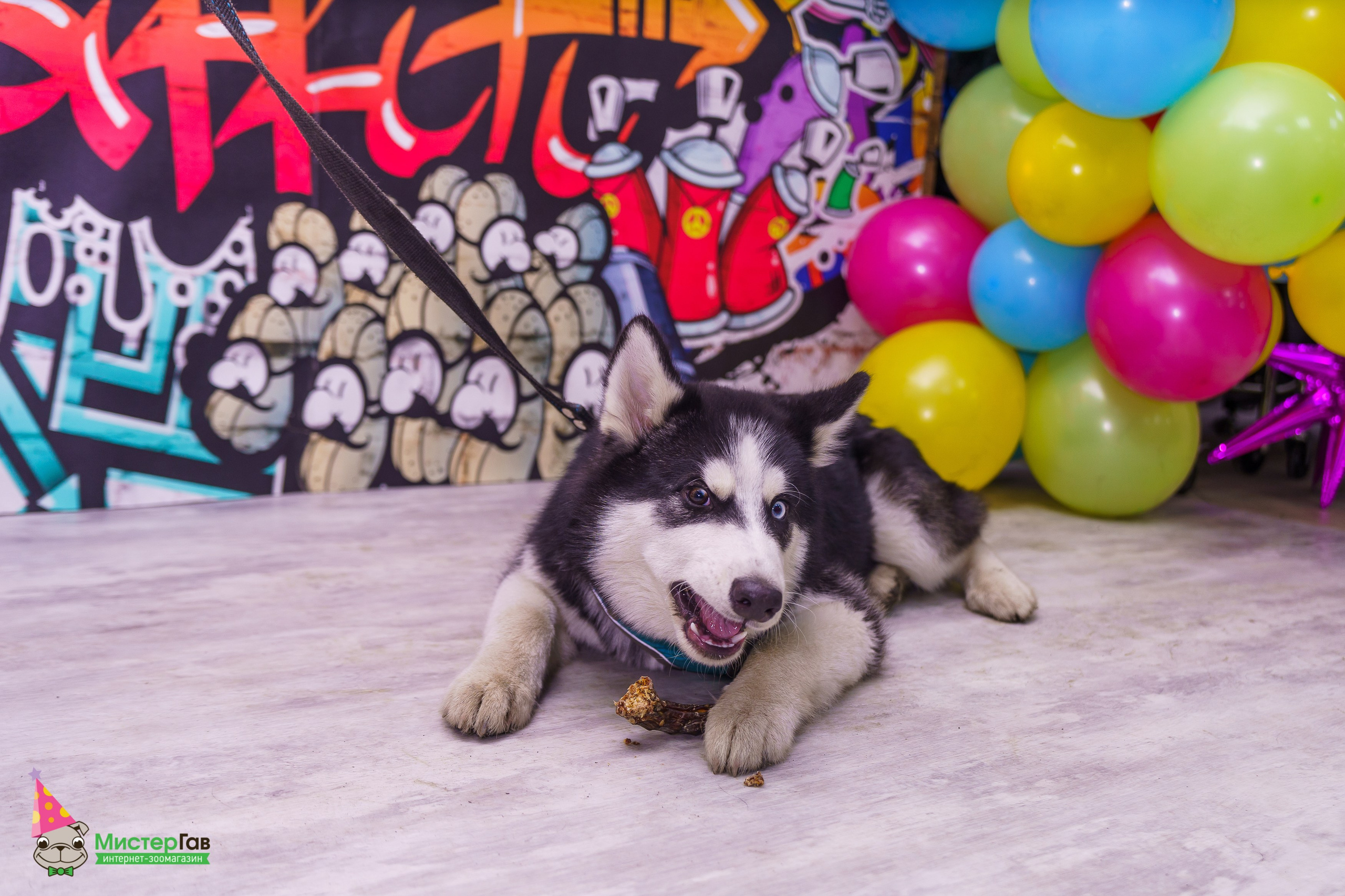 С животными. Фотограф Челябинск · Ольга Серебрякова