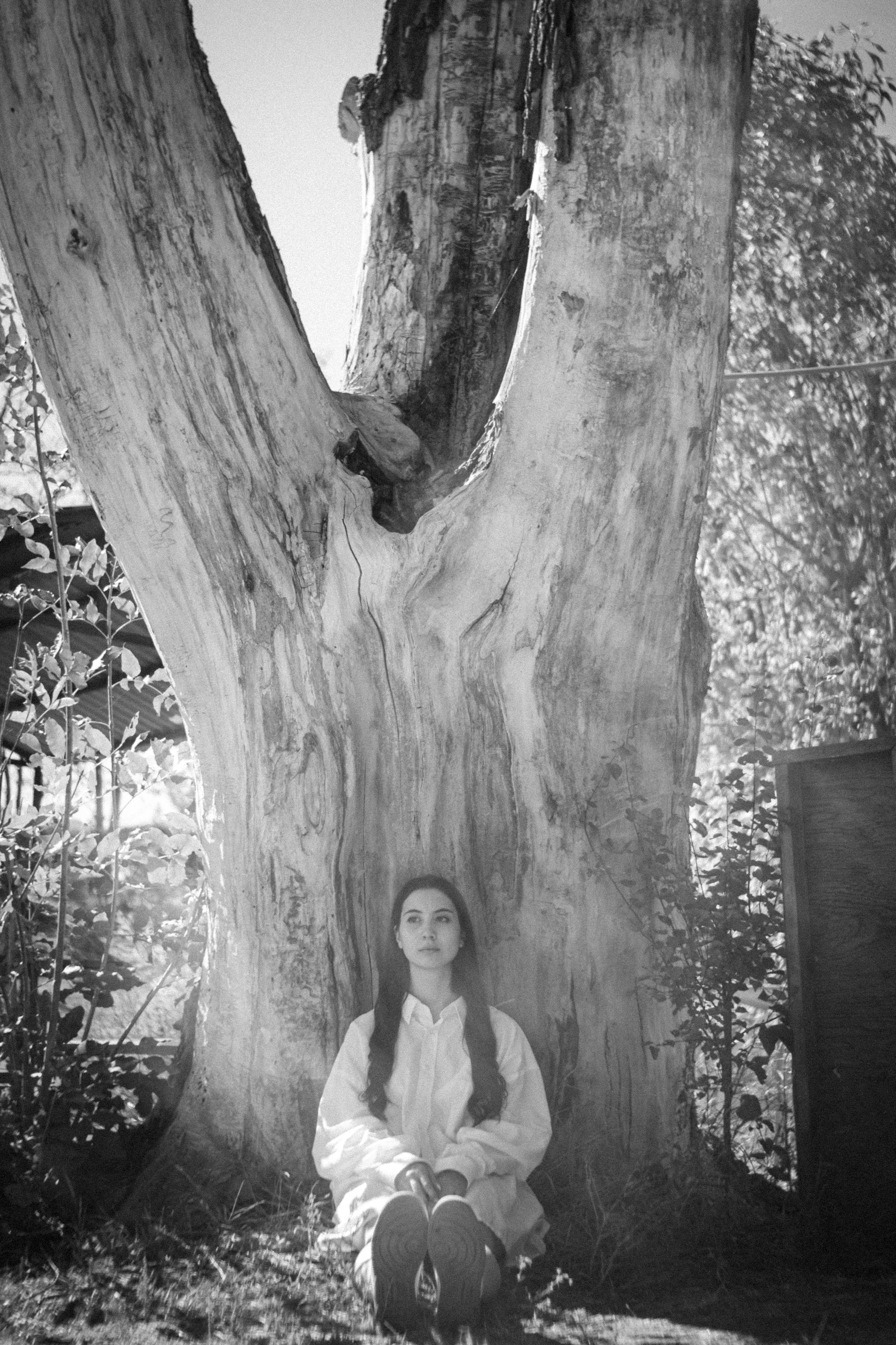 Лето задержалось. • Фотограф Александра Светозар Алчевск •