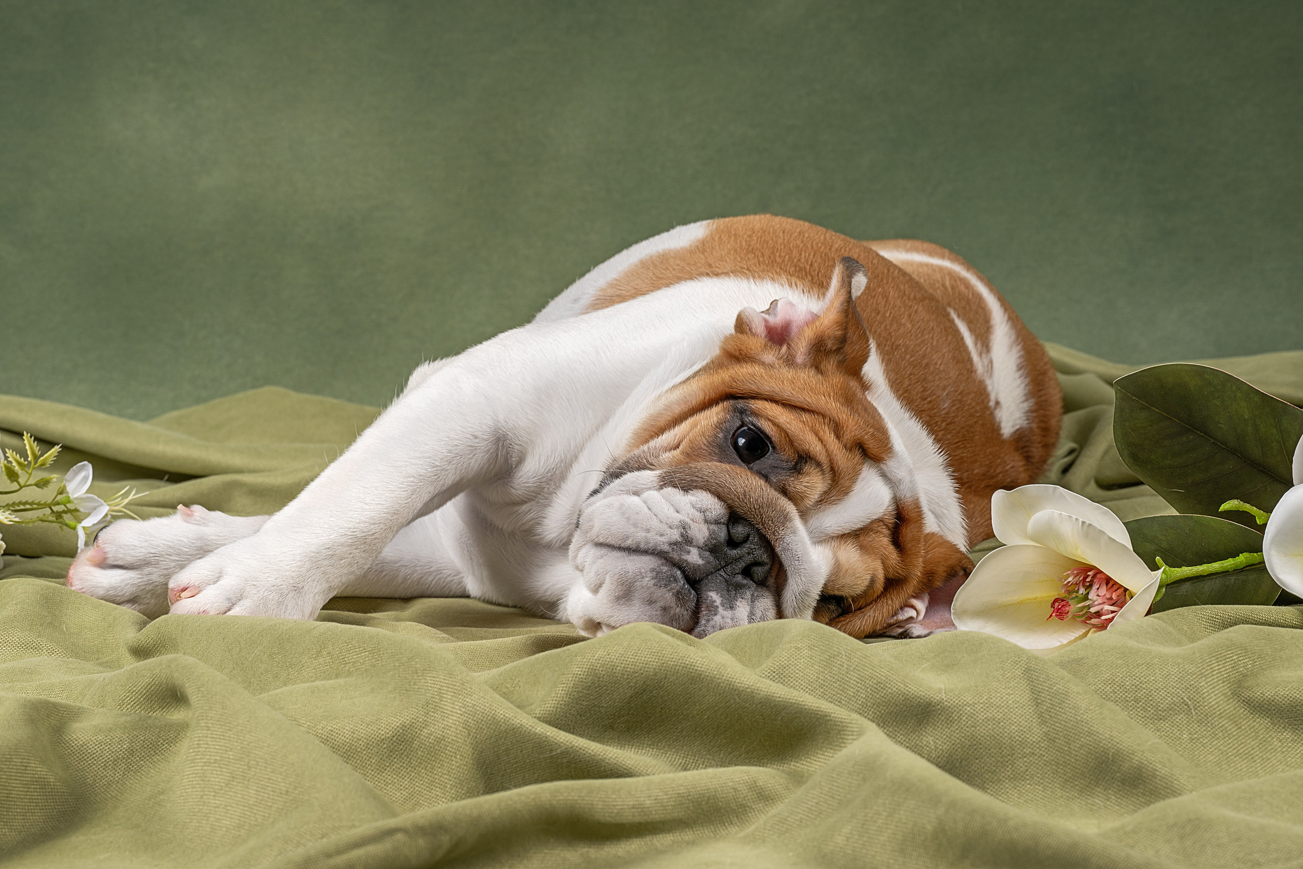 Фотограф анималист в Санкт-Петербурге Ирина Ковалева