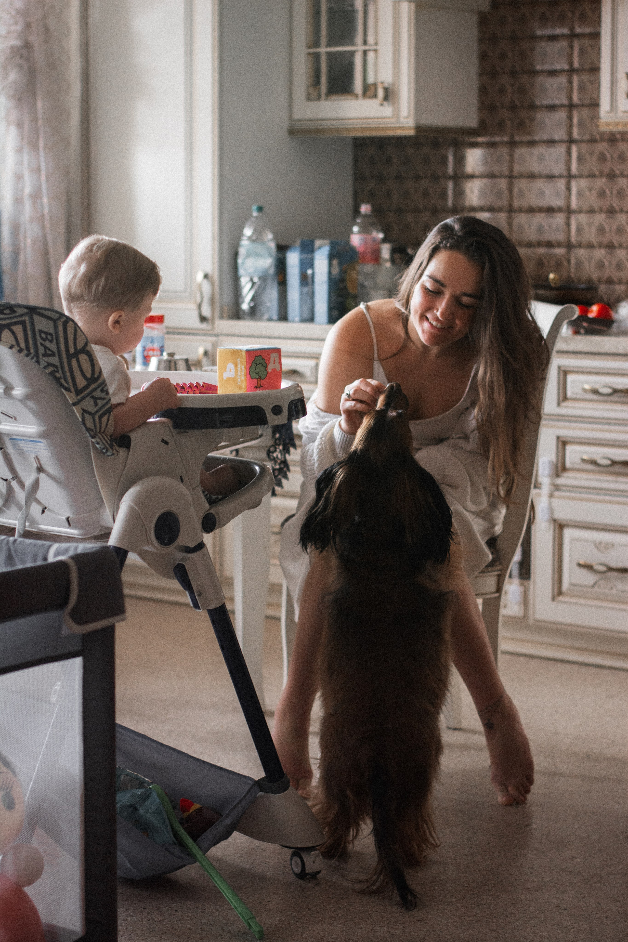 Семейная серия дома