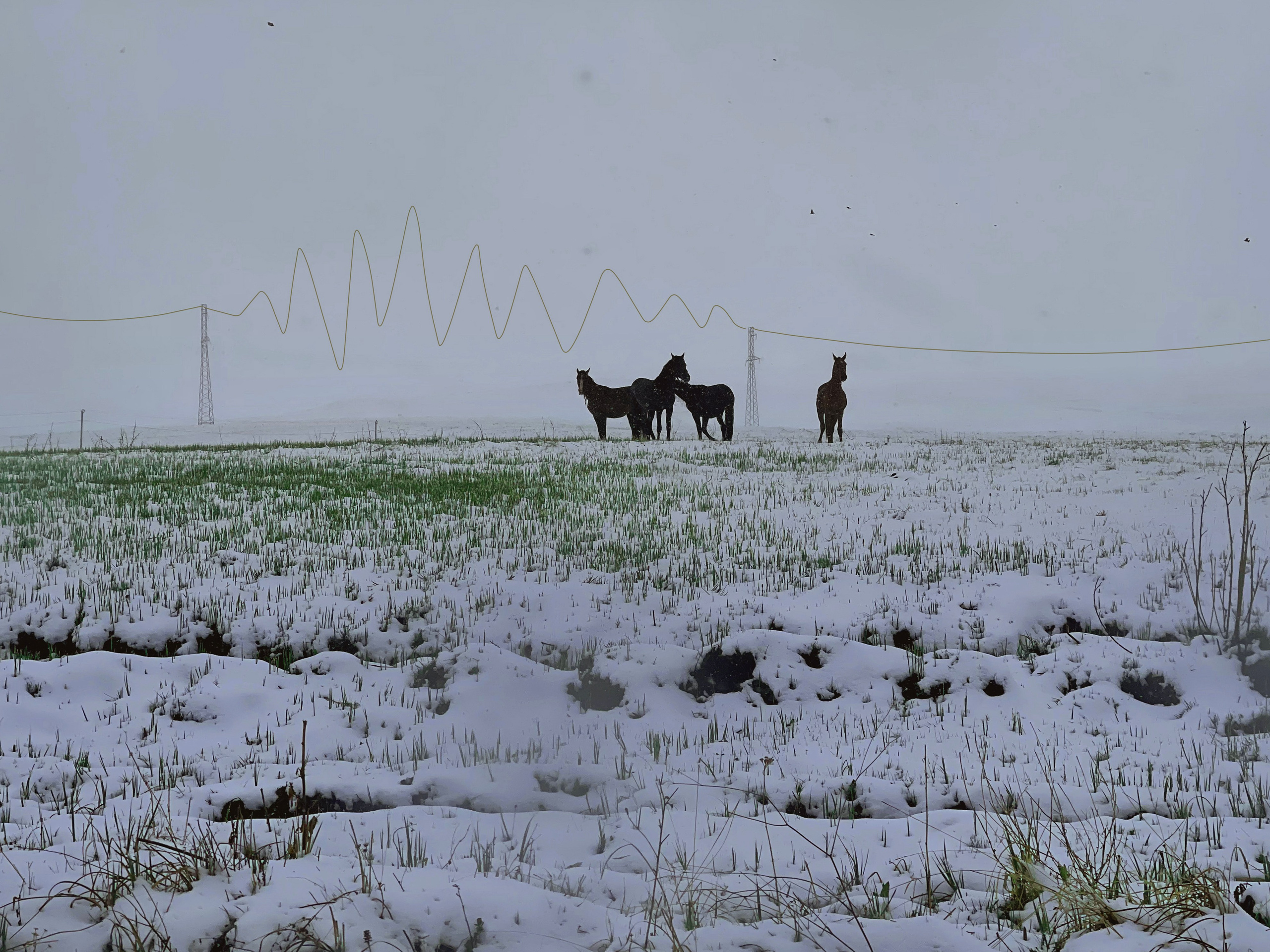 Автор: Фио Фам