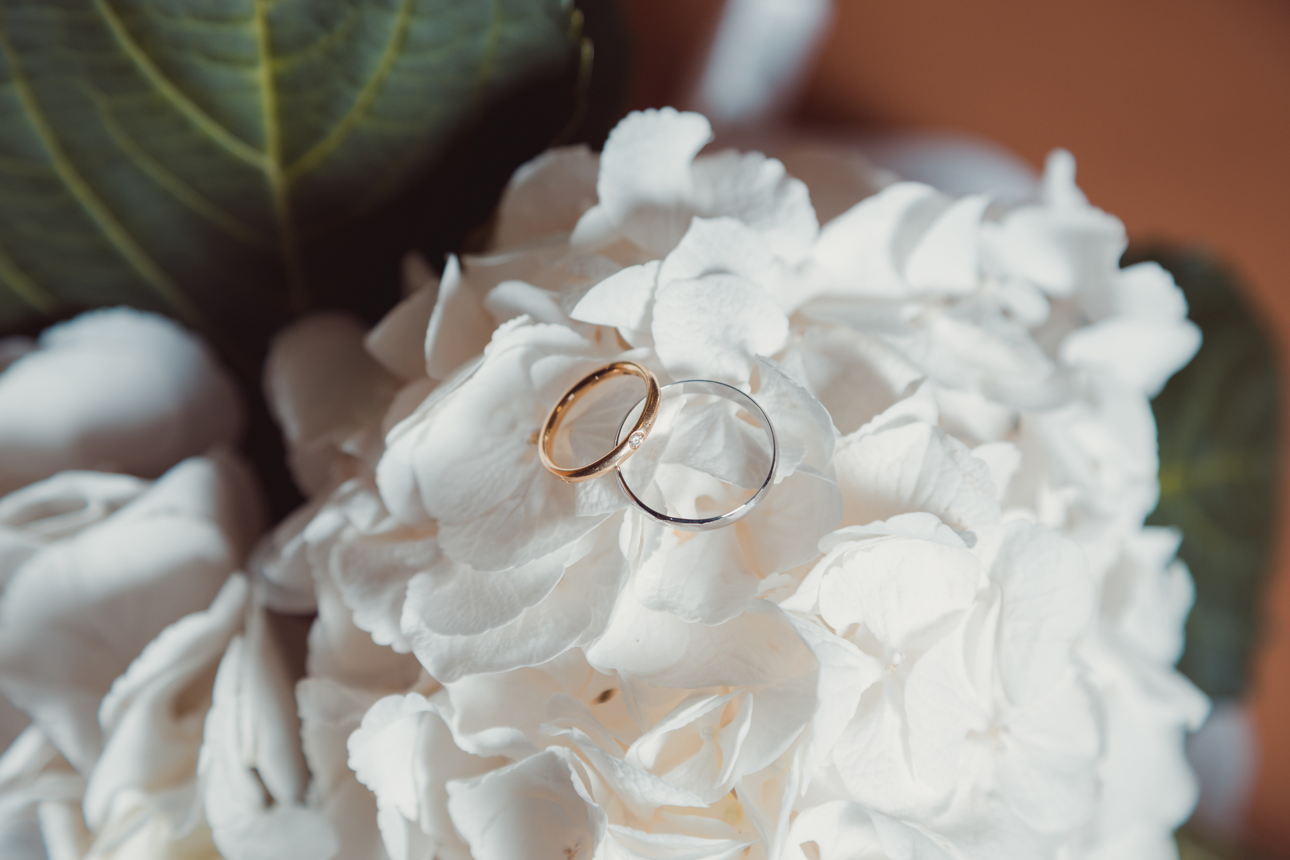 Ян и Маша. Дима Колес / фото и видео съёмка в Москве