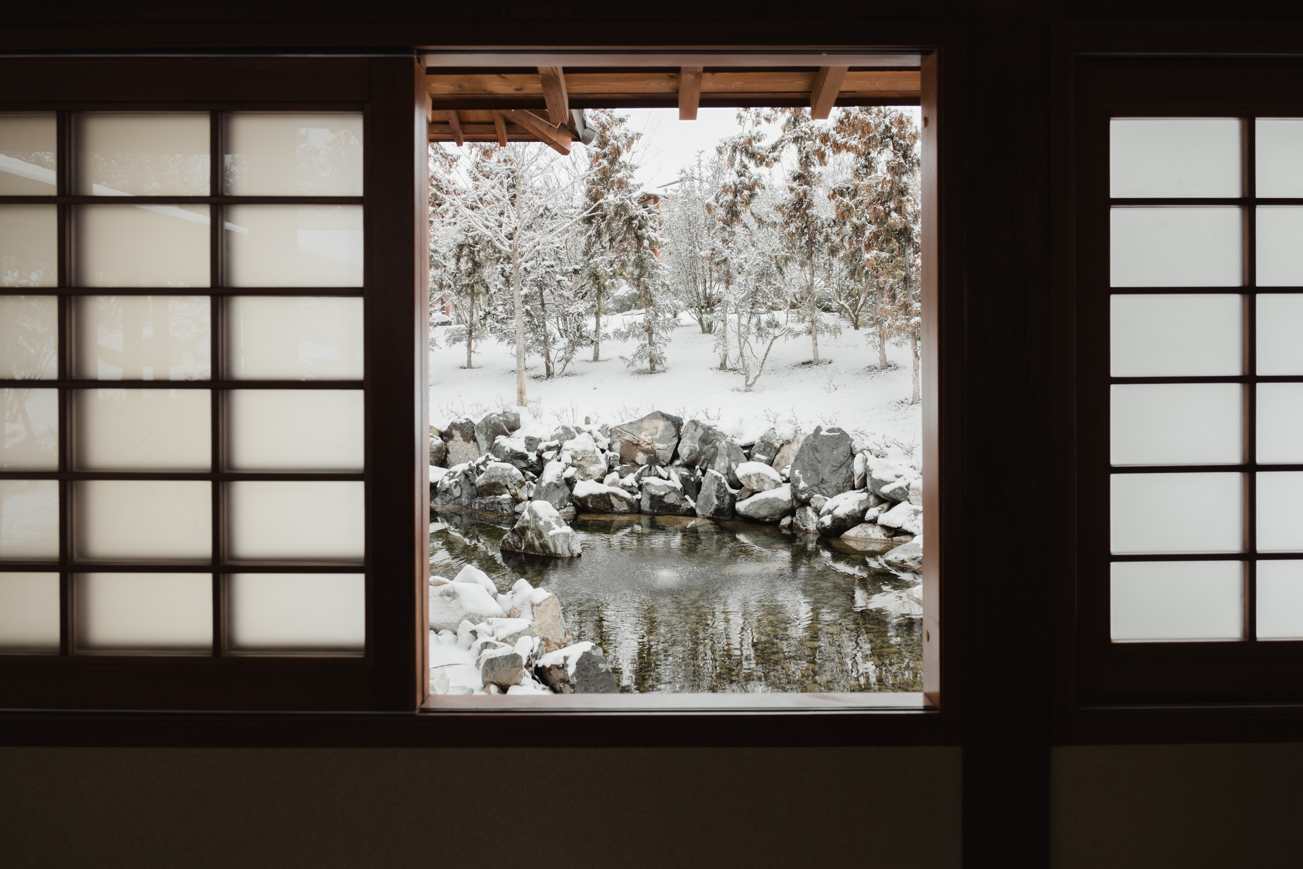 Japanese Garden in Krasnodar. Ekaterina Symidi. Interior Photographer