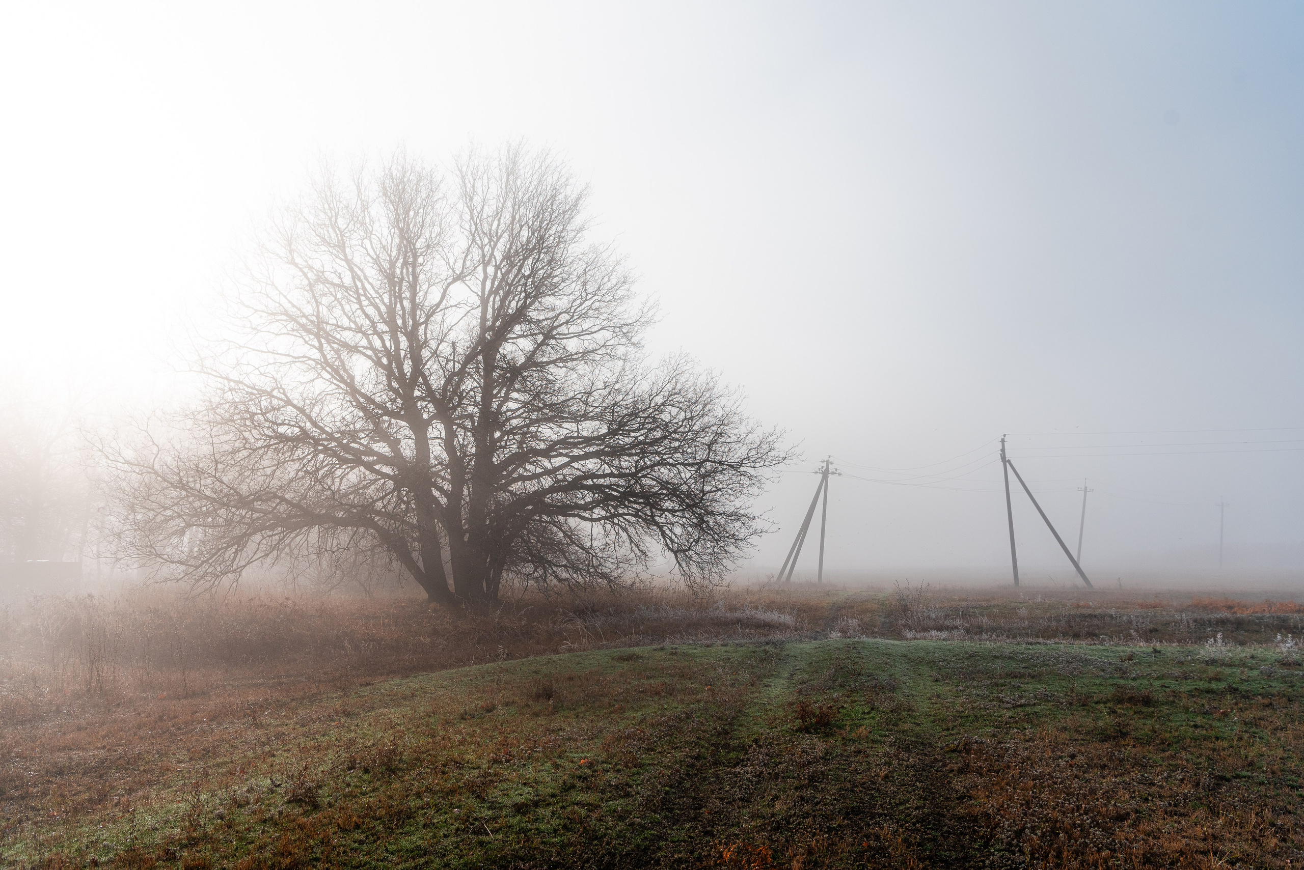 Фотографии утреннего тумана под Волжским. Фотограф в Волгограде и Волжском Александр Горбань