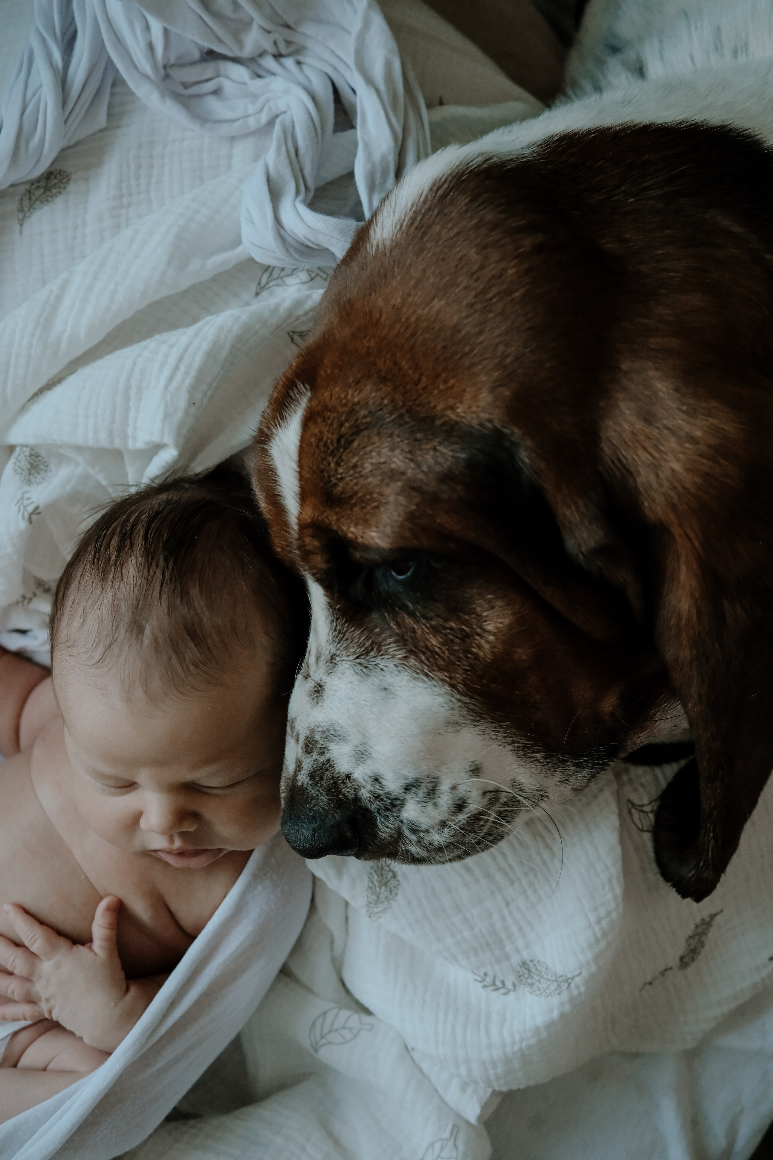 Новорожденные LIFE. Ньюборн и детский фотограф в Москве Шигина Марина
