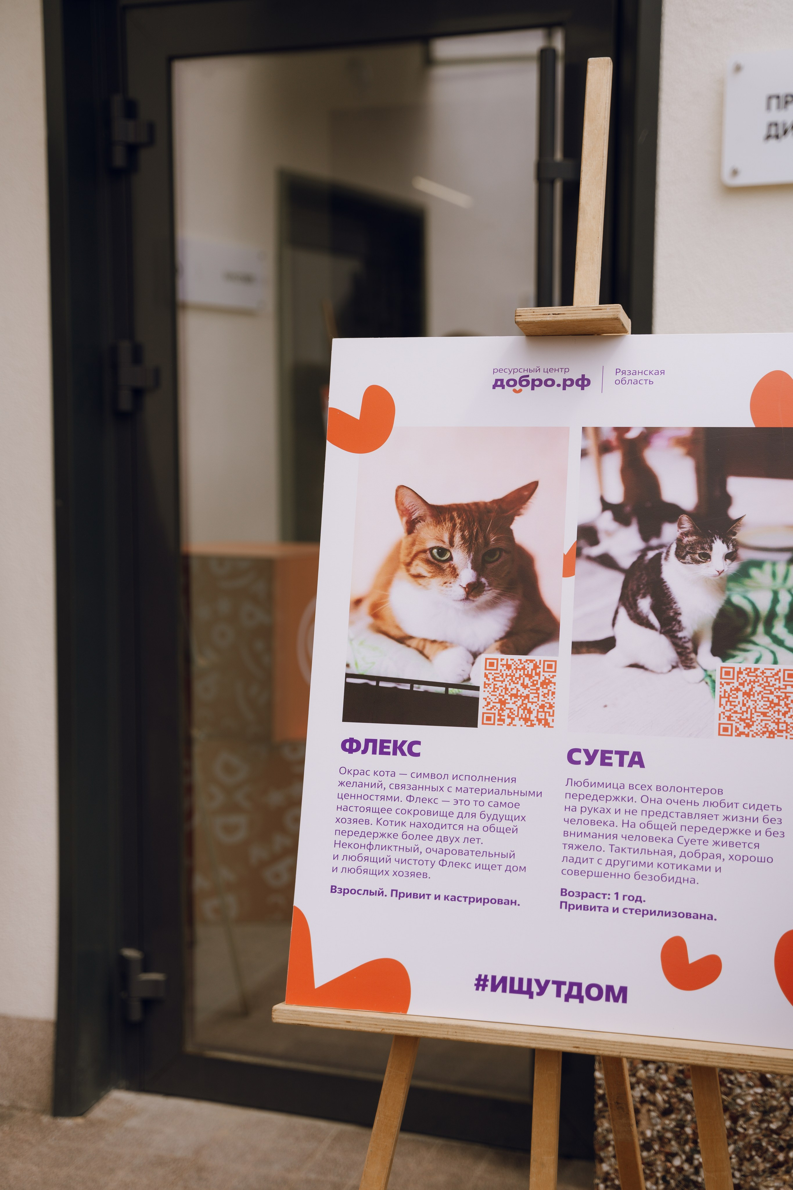 День молодежи в Доме молодежи 2025. Фотограф Надежда Погребняк | Рязань | Москва