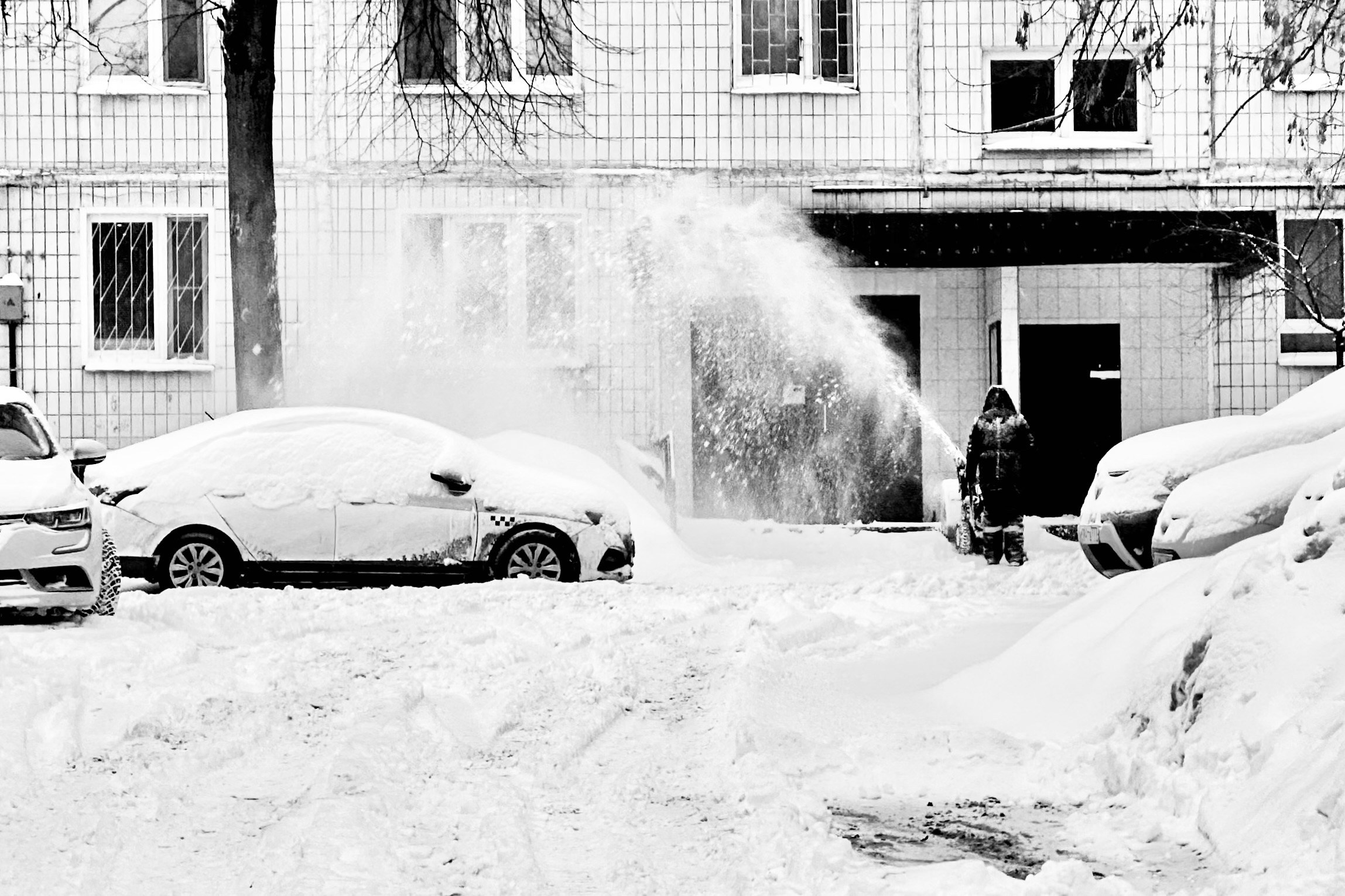 Чёрно-белая зима 25-26. Фотосессии и репортаж — Фотограф в Москве — Рина Серёгина