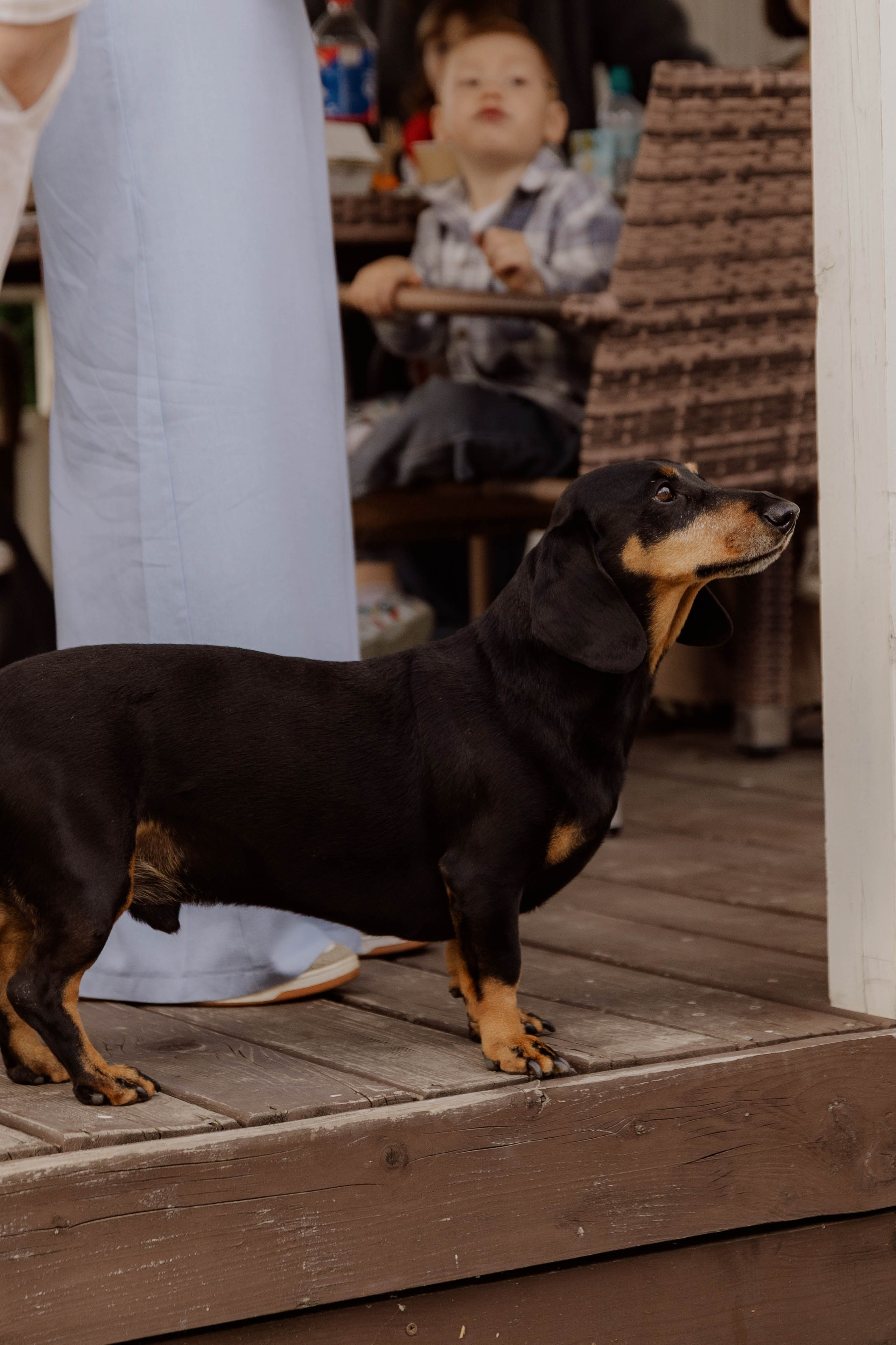 Детский ДР. Льву 3 года. Фотограф Юсова Мария