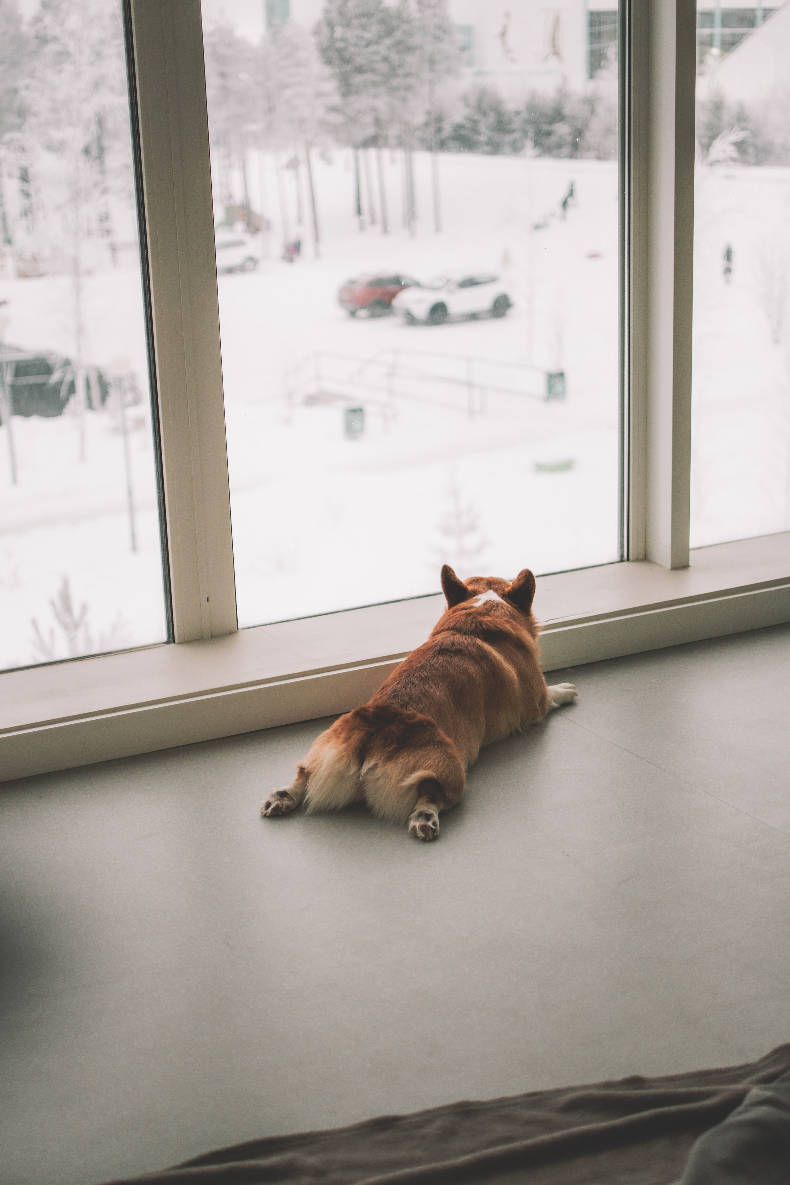 Степан и Анастасия. Семейный и свадебный фотограф Губкинский и Ставрополь