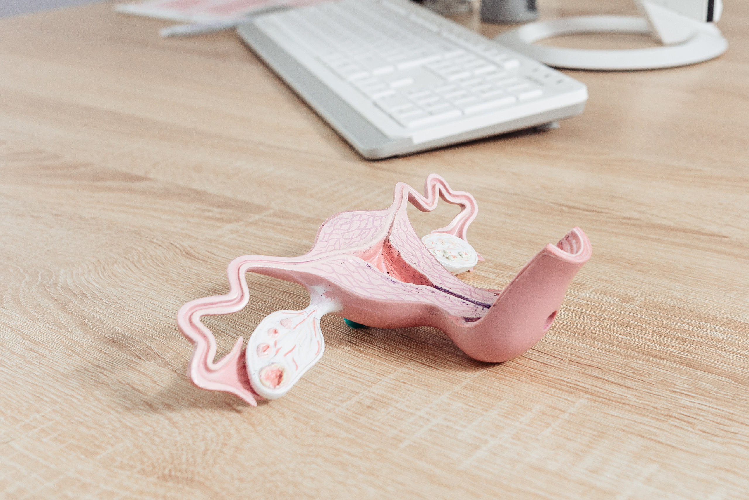 Уромед (интерьер и портреты врачей). Семейный и детский фотограф Иваново Ксения Азаренкова