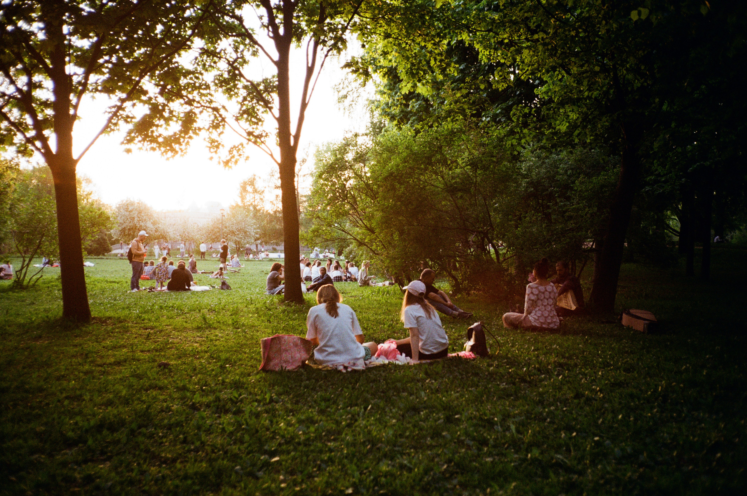 Grain. Artem Khusainov