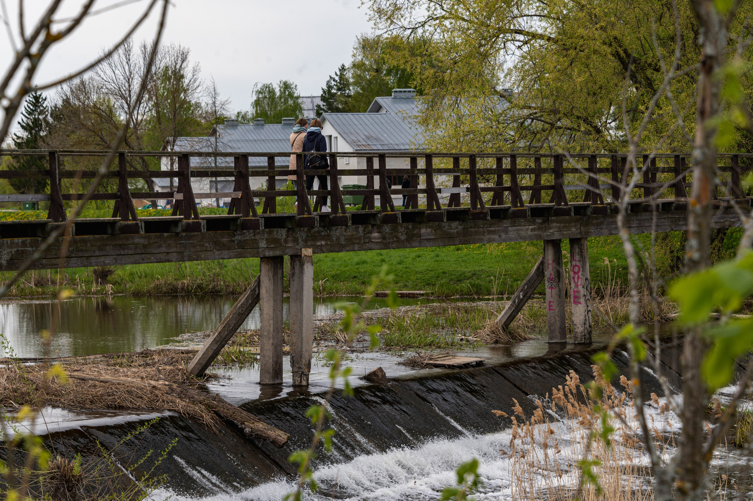 Суздаль. Май 2023. Фотограф Роман Адлер