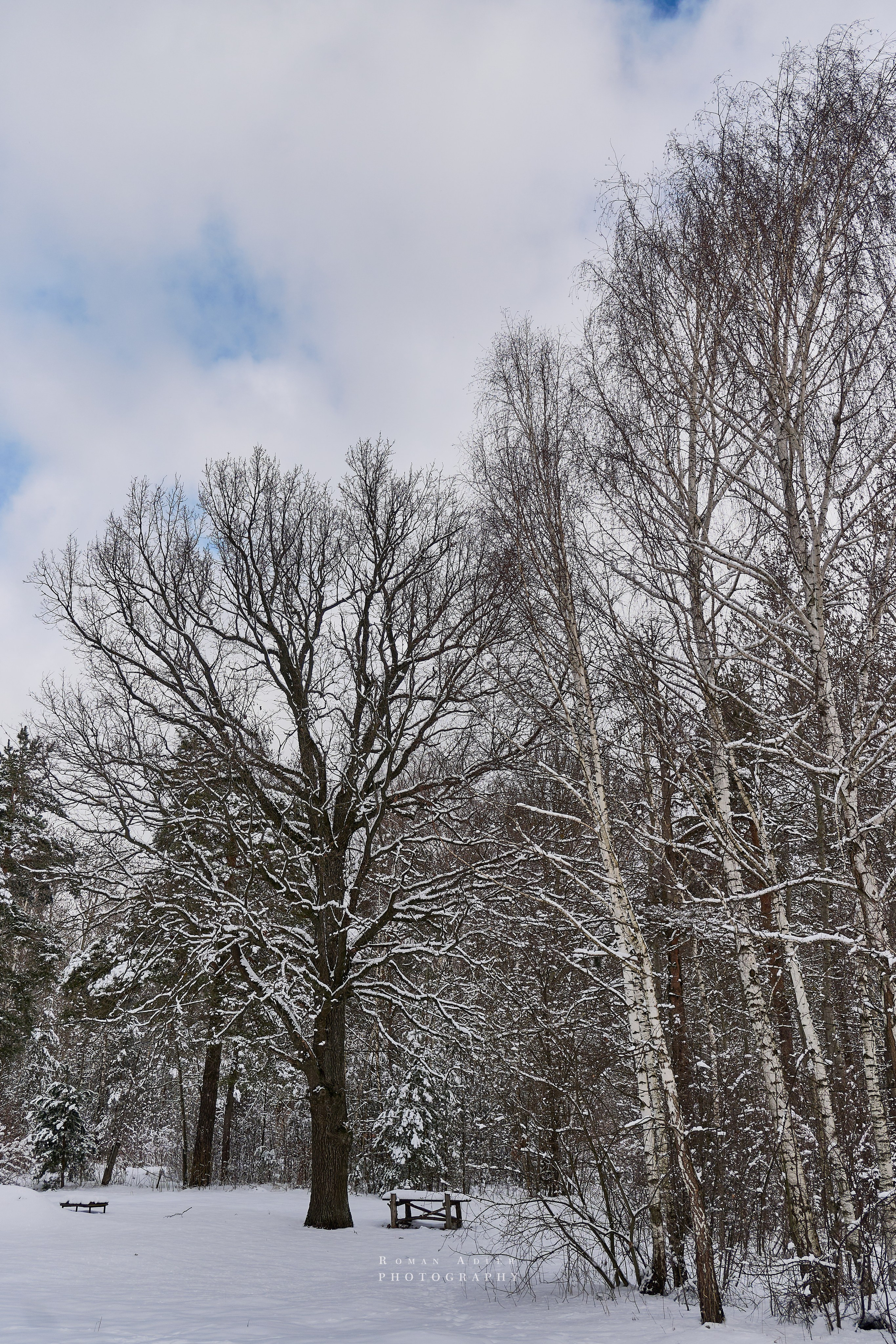 Апрельский снег. Москва 2025. Фотограф Роман Адлер