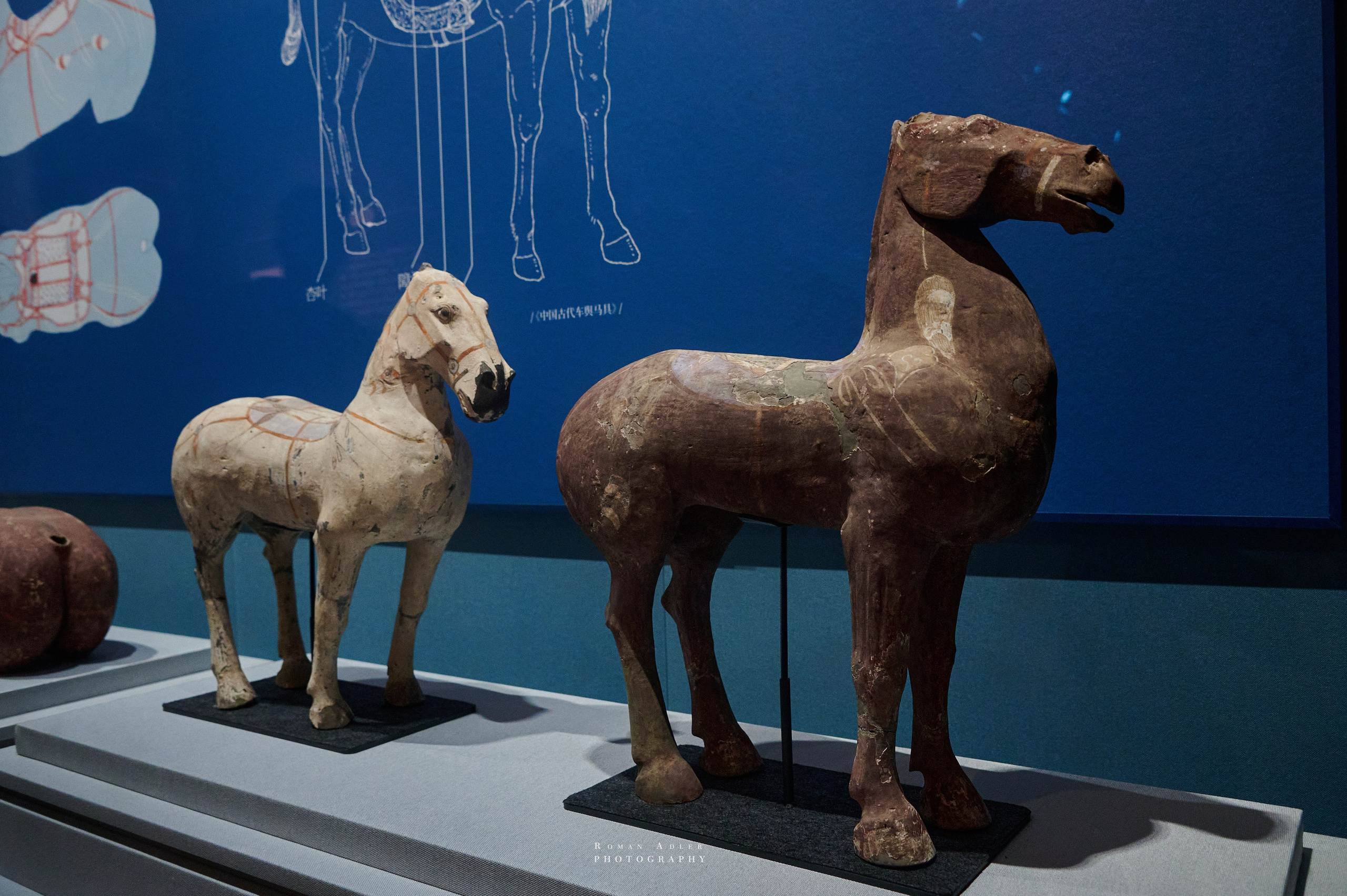 Национальный краеведческий музей Цинчжоу. Фотограф Роман Адлер