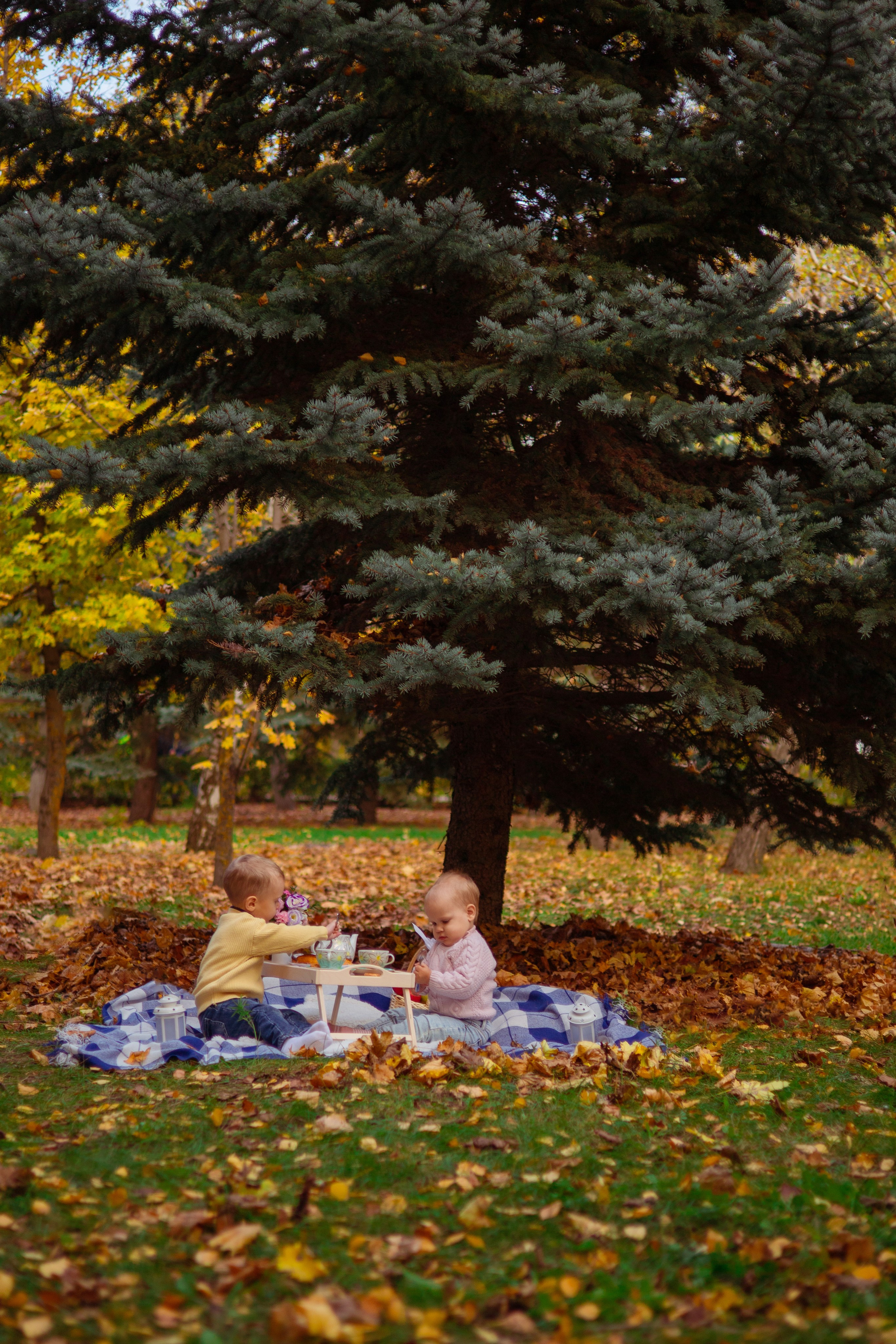 Полина и Даня осень. Семейный и детский фотограф в Михайловке Татьяна Лестьева