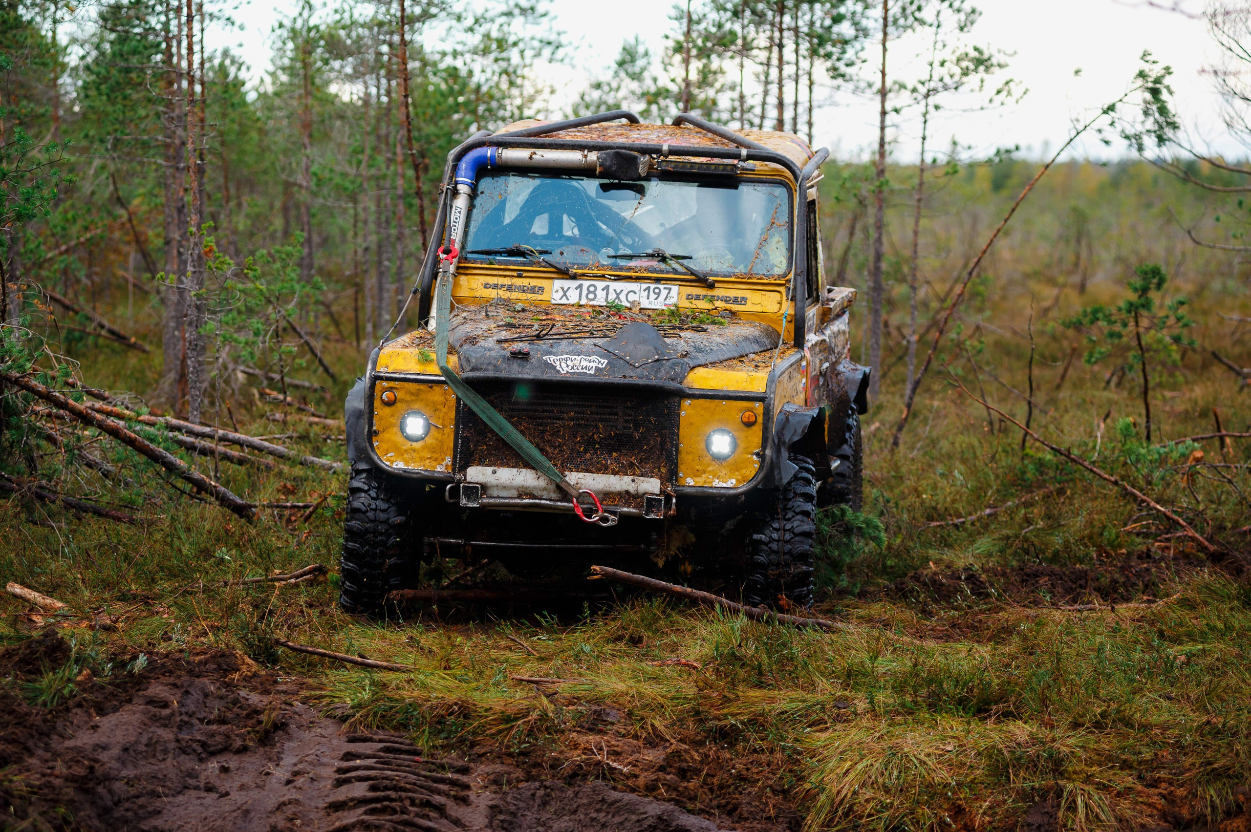 Кубок СПб по трофи-рейдам 04-06.10.2024 — день 2. Фотограф Алексей Алексеев