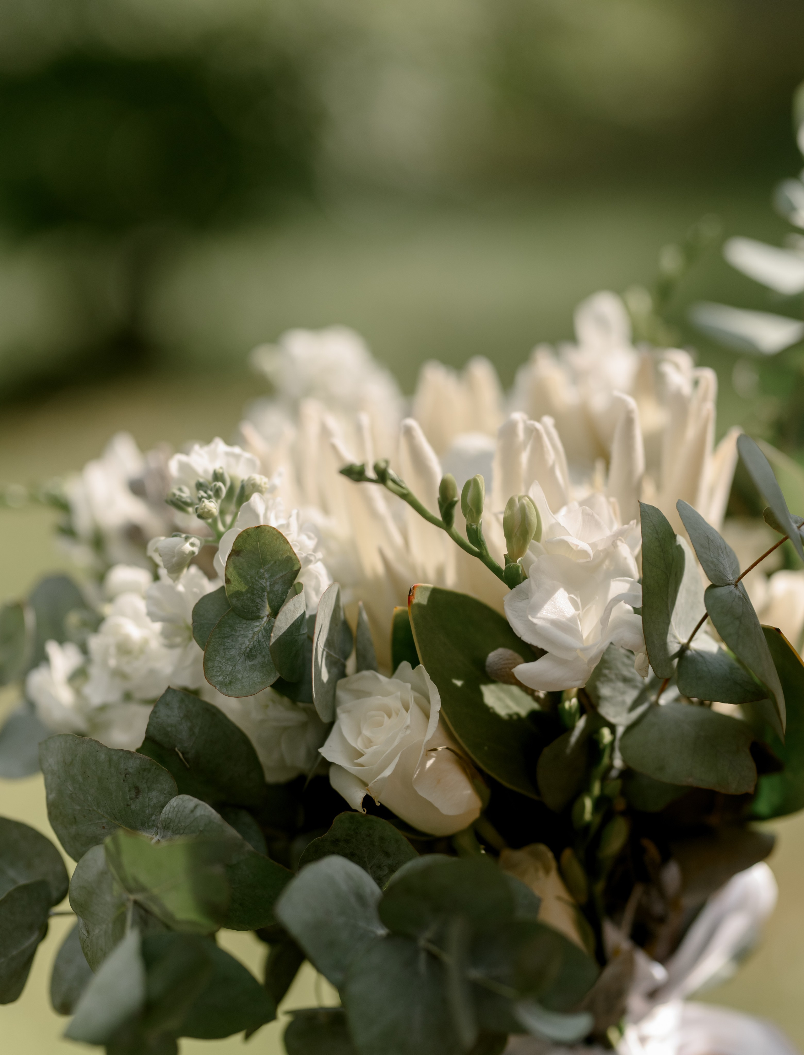 Александр и Арина. Фотограф Анна Абрикосова