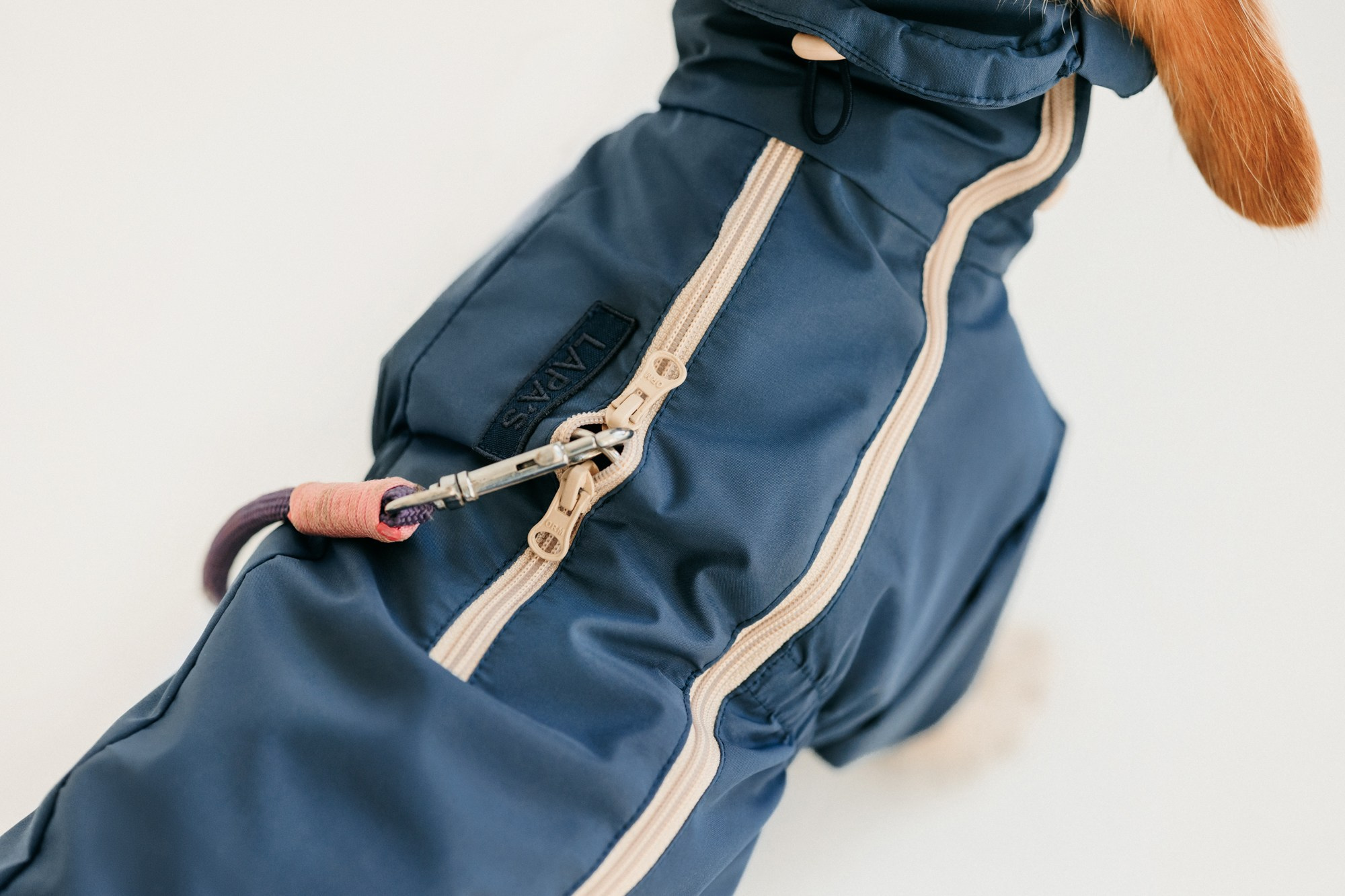 Одежда Lapa`s brand. Фотограф-анималист Елена Радченко, Москва